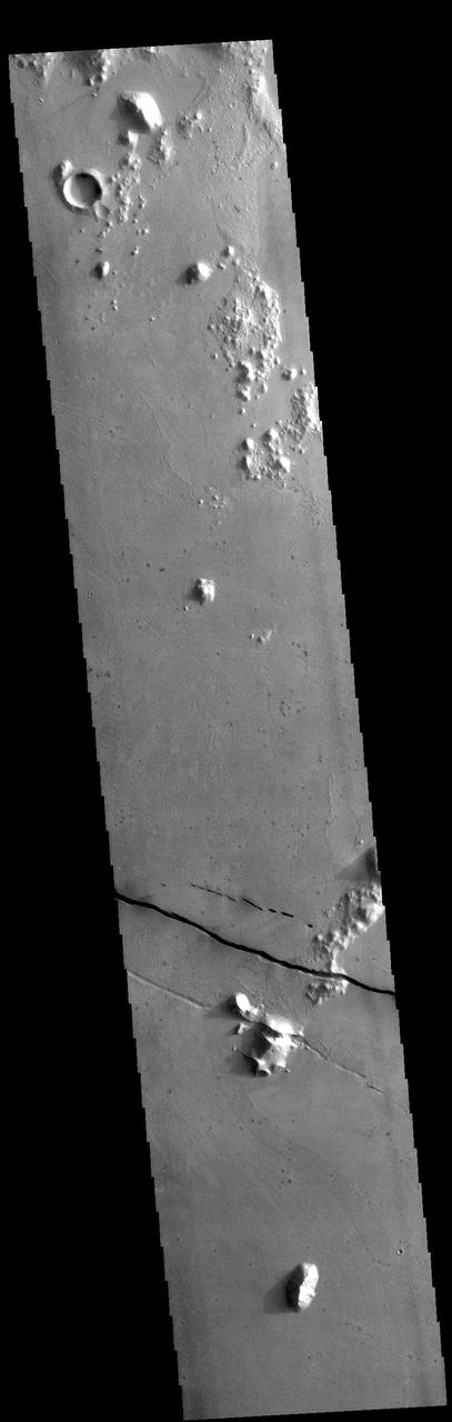 Today's VIS image shows a section of Cerberus Fossae. Cerberus Fossae are located in Elysium Planitia, southeast of the Elysium Mons volcanic complex. The linear features in the image are tectonic graben. Graben are formed by extension of the crust and faulting. When large amounts of pressure or tension are applied to rocks on timescales that are fast enough that the rock cannot respond by deforming, the rock breaks along faults. In the case of a graben, two parallel faults are formed by extension of the crust and the rock in between the faults drops downward into the space created by the extension. Numerous sets of graben are visible in this THEMIS image, trending from north-northwest to south-southeast. Because the faults defining the graben are formed perpendicular to the direction of the applied stress, we know that extensional forces were pulling the crust apart in the east-northeast/west-southwest direction. The Cerberus Fossae graben are sources of both channels and significant volcanic flows. Cerberus Fossae cuts across features such as hills, indicating the relative youth of the tectonic activity. Orbit Number: 94781 Latitude: 8.95114 Longitude: 163.746 Instrument: VIS Captured: 2023-04-27 13:44 https://photojournal.jpl.nasa.gov/catalog/PIA26156