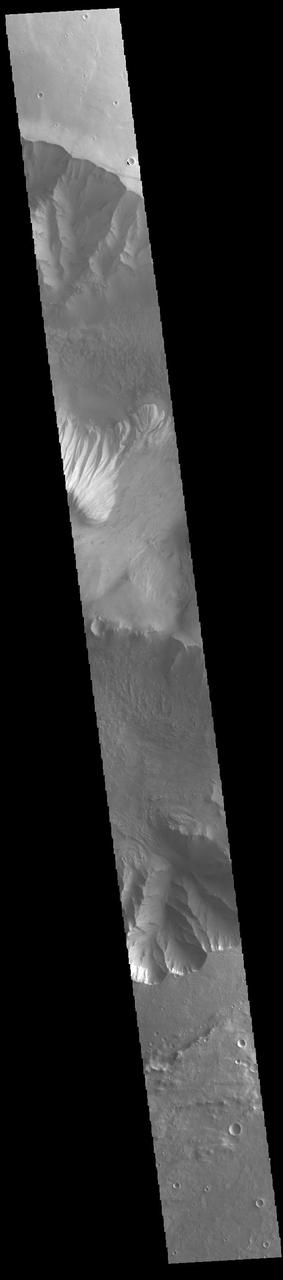 Candor Chasma is one of the largest canyons that make up Valles Marineris. It is approximately 810 km long (503 miles) and is divided into two regions - eastern and western Candor. Candor is located south of Ophir Chasma and north of Melas Chasma. The border with Melas Chasma contains many large landslide deposits. The floor of Candor Chasma includes a variety of landforms, including layered deposits, dunes, landslide deposits and steep sided cliffs and mesas. Many forms of erosion have shaped Candor Chasma. There is evidence of wind and water erosion, as well as significant gravity driven mass wasting (landslides).  Orbit Number: 94789 Latitude: -8.22898 Longitude: 295.219 Instrument: VIS Captured: 2023-04-28 05:27  https://photojournal.jpl.nasa.gov/catalog/PIA26158