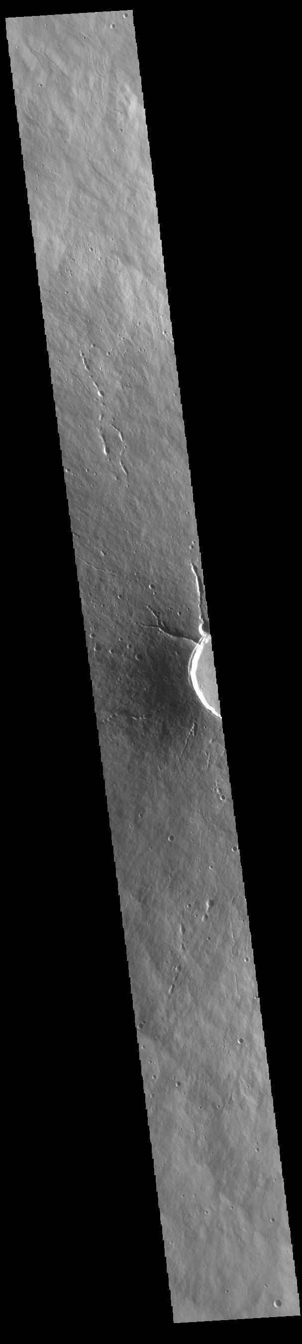 NASA image: Elysium Mons