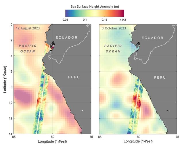 The illustration above shows sea levels off the coasts of Peru and Ecuador on Aug. 12, 2023, and Oct. 3, 2023. The Surface Water and Ocean Topography (SWOT) satellite collected the ocean data during its operational phase, which began in late July. The red and orange colors represent sea levels that are higher than average (units are in meters), while green and blue indicate sea levels that are lower than average. The SWOT data shows some of the development of an El Niño along the west coast of the Americas. The SWOT science team made the measurements using the spacecraft's Ka-band Radar Interferometer (KaRIn) instrument. With two antennas spread 33 feet (10 meters) apart on a boom, KaRIn produces a pair of data swaths (tracks visible in the animation) as it circles the globe, bouncing radar pulses off the water's surface to collect surface-height measurements. Launched on Dec. 16, 2022, from Vandenberg Space Force Base in central California, SWOT is now in its operations phase, measuring the height of nearly all water on Earth's surface. The satellite will provide one of the most detailed, comprehensive views yet of the planet's oceans and fresh water lakes and rivers, collecting data that will be used for research and other purposes. https://photojournal.jpl.nasa.gov/catalog/PIA26181