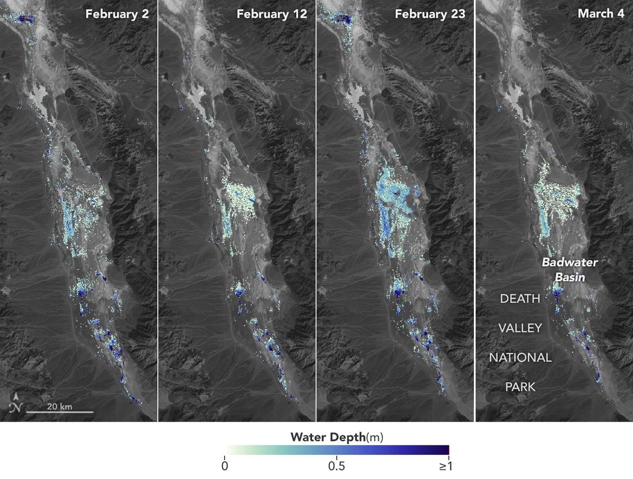 California's Death Valley, the driest place in North America, has hosted an ephemeral lake since late 2023. In March 2024, a NASA-led analysis calculated water depths in the temporary lake over several weeks in February and March 2024, demonstrating the possibilities of the latest water-observing mission, the U.S.-French Surface Water and Ocean Topography (SWOT) satellite. The analysis found that water depths in the lake ranged between about 3 feet (1 meter) to less than 1.5 feet (0.5 meters) over the course of several weeks. This period included a series of storms that swept across California, bringing record amounts of rainfall. To estimate the depth of the lake, known informally as Lake Manly, researchers used water level data collected by SWOT and subtracted corresponding U.S. Geological Survey land elevation information for Badwater Basin. The researchers found that the water levels varied across space and time in the roughly 10-day period between SWOT observations. In the visualization above, water depths of about 3 feet (1 meter) appear dark blue; those of less than 1.5 feet (0.5 meters) appear light yellow. Right after a series of storms in early February, the temporary lake was about 6 miles (10 kilometers) long and 3 miles (5 kilometers) wide. Each pixel in the image represents an area that is about 330 feet by 330 feet (100 meters by 100 meters). Unlike many lakes around the world, Death Valley's lake is temporary, relatively shallow, and strong winds are enough to move the freshwater body a couple of miles, as happened from Feb. 29 to March 2. Since there isn't typically water in Badwater Basin, researchers don't have permanent instruments in place for studying water in this area. SWOT can fill the data gap for when places like this, and others around the world, become inundated. Since shortly after launch in December 2022, SWOT has been measuring the height of nearly all water on Earth's surface, developing one of the most detailed and comprehensive views of the planet's oceans and freshwater lakes and rivers. Not only can the satellite detect the extent of water, as other satellites can, but SWOT can also measure water surface levels. Combined with other types of information, SWOT measurements can yield water depth data for inland features like lakes and rivers. The SWOT science team makes its measurements using the Ka-band Radar Interferometer (KaRIn) instrument. With two antennas spread 33 feet (10 meters) apart on a boom, KaRIn produces a pair of data swaths as it circles the globe, bouncing radar pulses off water surfaces to collect surface-height information. Launched from Vandenberg Space Force Base in central California, SWOT is now in its operations phase, collecting data that will be used for research and other purposes. Animation available at https://photojournal.jpl.nasa.gov/catalog/PIA26184