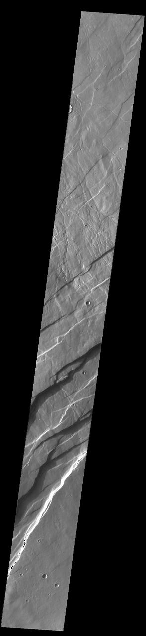 Alba Fossae