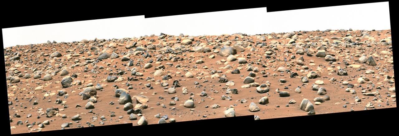 NASA's Perseverance Mars rover captured this mosaic of a location nicknamed "Castell Henllys" using its Mastcam-Z camera on April 13, 2023, the 763rd Martian day, or sol, of the mission. The rounded boulders seen here are believed to have been washed into Jezero Crater, which Perseverance is exploring, by strong flood waters billions of years ago. This occurred during one of three major periods that scientists have identified in the development of the lake and river system that occupied Jezero in the ancient past.  This view looks toward the southwest, with the Castell Henllys area approximately 328 feet (100 meters) away. The mosaic is made up of three images that were stitched together after being sent back to Mars. The image has been processed to improve contrast on the terrain.  Arizona State University leads the operations of the Mastcam-Z instrument, working in collaboration with Malin Space Science Systems in San Diego, on the design, fabrication, testing, and operation of the cameras, and in collaboration with the Niels Bohr Institute of the University of Copenhagen on the design, fabrication, and testing of the calibration targets.  A key objective for Perseverance's mission on Mars is astrobiology, including the search for signs of ancient microbial life. The rover will characterize the planet's geology and past climate, pave the way for human exploration of the Red Planet, and be the first mission to collect and cache Martian rock and regolith (broken rock and dust).  Subsequent NASA missions, in cooperation with ESA (European Space Agency), would send spacecraft to Mars to collect these sealed samples from the surface and return them to Earth for in-depth analysis.  The Mars 2020 Perseverance mission is part of NASA's Moon to Mars exploration approach, which includes Artemis missions to the Moon that will help prepare for human exploration of the Red Planet.  https://photojournal.jpl.nasa.gov/catalog/PIA26208