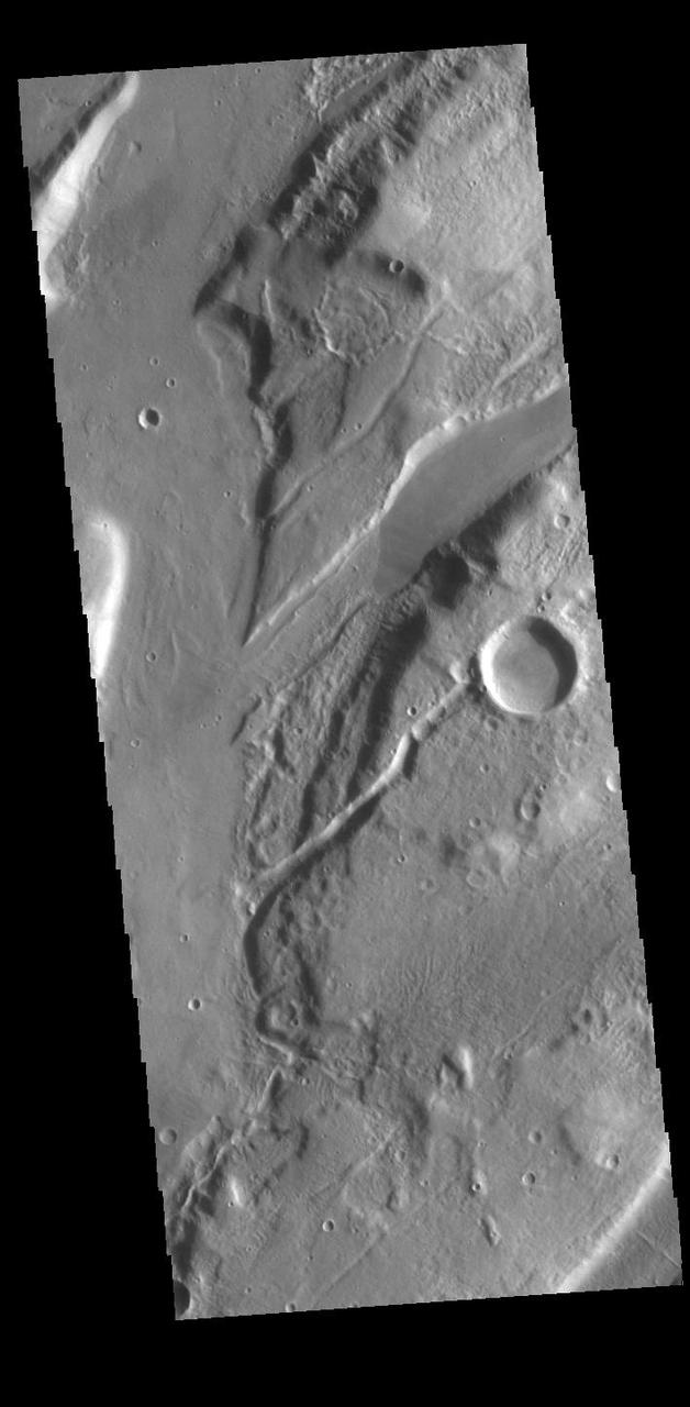 The linear features in this VIS image are called Mareotis Fossae. They are part of a huge region of graben that comprise Tempe Terra. The graben of Mareotis Fossae trend to the northeast, parallel to the fossae of Alba Mons located just to the west of Tempe Terra. Graben and are formed by extension of the crust and faulting. When large amounts of pressure or tension are applied to rocks on timescales that are fast enough that the rock cannot respond by deforming, the rock breaks along faults. In the case of a graben, two parallel faults are formed by extension of the crust and the rock in between the faults drops downward into the space created by the extension. Numerous sets of graben are visible in this THEMIS image, trending from northeast to southwest. Because the faults defining the graben are formed perpendicular to the direction of the applied stress, we know that extensional forces were pulling the crust apart in the northwest/southeast direction. Mareotis Fossae is 1907km long (1185 miles). Orbit Number: 94877 Latitude: 35.3184 Longitude: 270.43 Instrument: VIS Captured: 2023-05-05 11:36 https://photojournal.jpl.nasa.gov/catalog/PIA26212