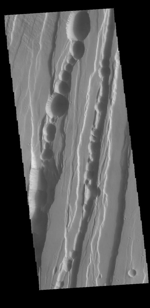 This VIS image shows part of Tractus Catena, just one of many north/south trending tectonic graben located south and east of Alba Mons. The graben with circular pits are part of Tractus Catena. The graben without pits are part of Tractus Fossae. The pits most likely formed as a result of roof collapse into an underlying open space such as a lava tube. Graben are formed by extension of the crust and faulting. When large amounts of pressure or tension are applied to rocks on timescales that are fast enough that the rock cannot respond by deforming, the rock breaks along faults. In the case of a graben, two parallel faults are formed by extension of the crust and the rock in between the faults drops downward into the space created by the extension. Numerous sets of graben are visible in this THEMIS image, trending generally north/south. Because the faults defining the graben are formed perpendicular to the direction of the applied stress, we know that extensional forces were pulling the crust apart in the east/west direction. The large number of graben around Alba Mons is generally believed to be the result of extensional forces associated with the uplift of the volcano. Orbit Number: 94890 Latitude: 25.2421 Longitude: 256.932 Instrument: VIS Captured: 2023-05-06 13:14 https://photojournal.jpl.nasa.gov/catalog/PIA26214