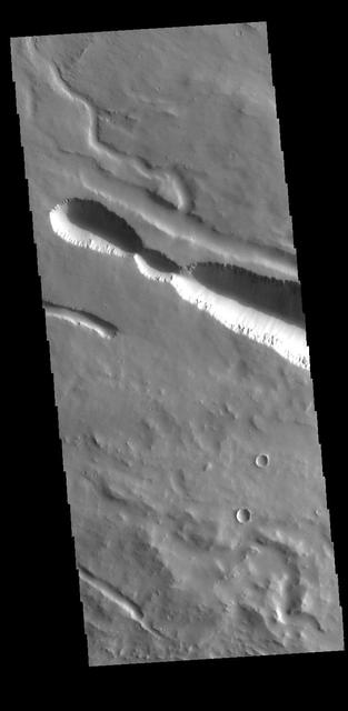 NASA image: Elysium Fossae