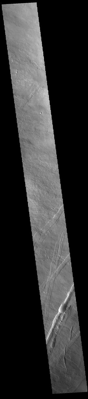 The linear features in the bottom half of this VIS image are called Oti Fossae. Oti Fossae is located on the eastern flank of Arsia Mons and aligns with the regional northeast/southwest trend of the major Tharsis volcanoes. Fossae are typically tectonic features termed graben. Graben are formed by extension of the crust and faulting. When large amounts of pressure or tension are applied to rocks on timescales that are fast enough that the rock cannot respond by deforming, the rock breaks along faults. In the case of a graben, two parallel faults are formed by extension of the crust and the rock in between the faults drops downward into the space created by the extension. The crustal deformation in this region was from the inflation of the surface by the rise of magma that created the Tharsis volcanoes.  Arsia Mons is the southernmost and youngest of the three large, aligned Tharsis volcanoes [Arsia Mons, Pavonis Mons and Ascreaus Mons, from south to north]. This alignment may indicate a large fracture/vent system was responsible for the eruptions that formed all three volcanoes. Arsia Mons is 270 miles (450km) in diameter, almost 12 miles (20km) high, and the summit caldera is 72 miles (120km) wide. For comparison, the largest volcano on Earth is Mauna Loa. From its base on the sea floor, Mauna Loa measures only 6.3 miles high and 75 miles in diameter.  Orbit Number: 94978 Latitude: -8.70852 Longitude: 242.873 Instrument: VIS Captured: 2023-05-13 18:56  https://photojournal.jpl.nasa.gov/catalog/PIA26224