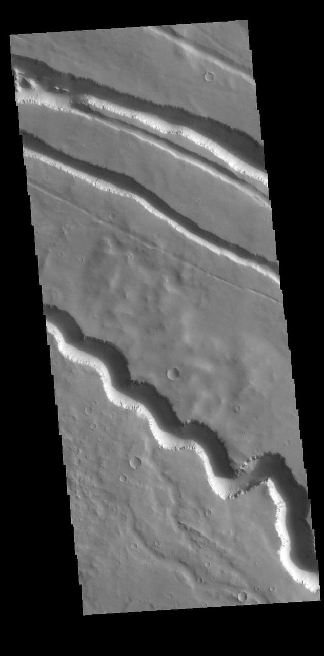 Today's VIS image contains a section of the many channel forms found radial to the Elysium Mons volcanic complex. In this case the fossae are located to the west of Elysium Mons. Elysium Fossae are comprised of both linear and sinuous channels, usually interpreted to have both fluid and tectonic forces playing a part in the formation. The linear depressions resemble grabens (formed by tectonic forces) and sinuous channel more closely resembles features caused by fluid flow – either lava or water created by melting subsurface ice due to volcanic heating. Orbit Number: 94994 Latitude: 25.539 Longitude: 136.625 Instrument: VIS Captured: 2023-05-15 02:45 https://photojournal.jpl.nasa.gov/catalog/PIA26227