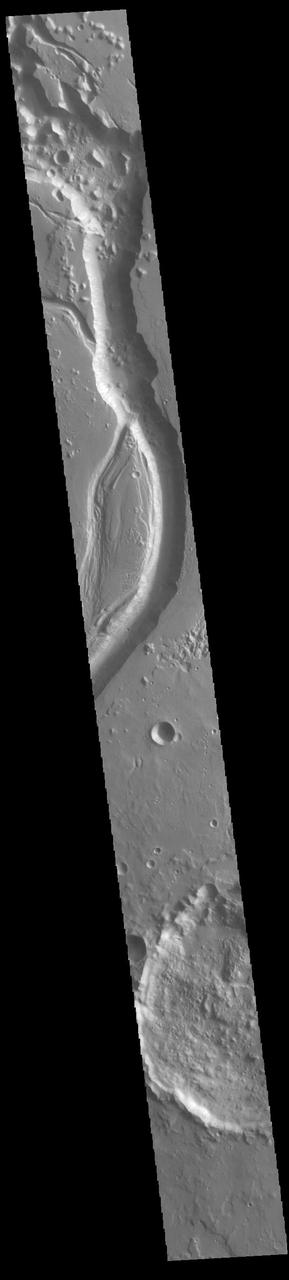 Today's VIS image shows a small section of Shalbatana Vallis. Located in Xanthe Terra, Shalbatana Vallis is an outflow channel carved by massive floods of escaping groundwater whose source lies far to the south of this image. This channel, and all others in this region, drain into Chryse Planitia. Shalbatana Vallis is 1029km long (639 miles). Orbit Number: 95150 Latitude: 10.3961 Longitude: 318.227 Instrument: VIS Captured: 2023-05-27 22:56 https://photojournal.jpl.nasa.gov/catalog/PIA26262