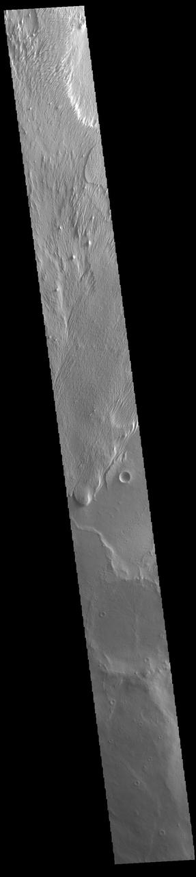 Today's VIS image shows a region of wind etched materials near the margin of Lucus Planum. In regions of poorly cemented surface materials it is possible to create large features due to just the action of the wind. The equatorial region between Olympus Mons and Apollinaris Mons is dominated by wind etched regions. The direction of the wind aligns with the ridges and valleys. The dominant wind direction in this region is southwest to northeast; however, other wind directions can occur within a localized region. Orbit Number: 95167 Latitude: -5.43918 Longitude: 189.898 Instrument: VIS Captured: 2023-05-29 08:26 https://photojournal.jpl.nasa.gov/catalog/PIA26265