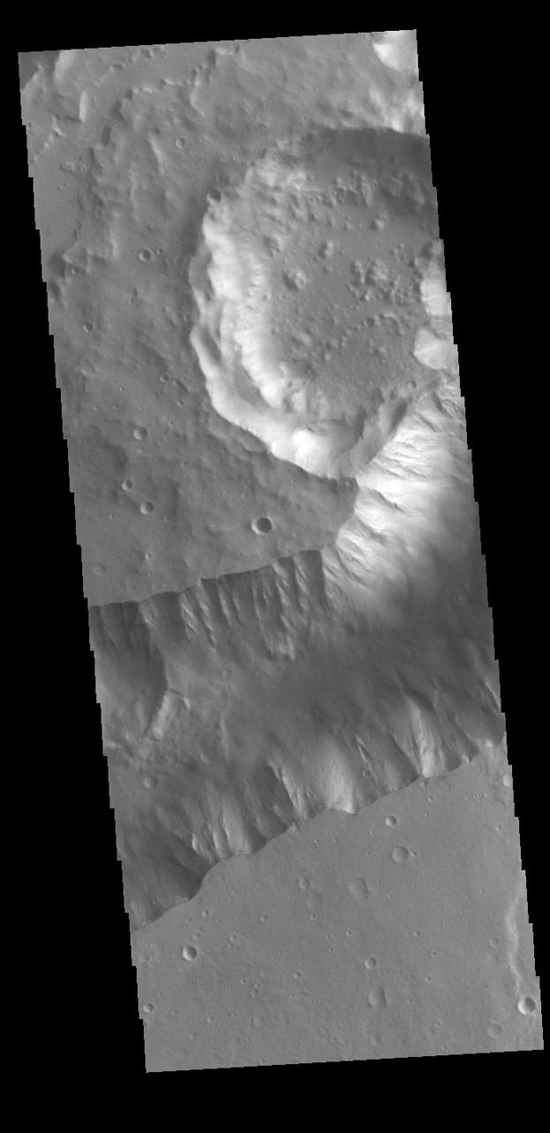 Today's VIS image shows a portion of Shalbatana Vallis. Located in Xanthe Terra, Shalbatana Vallis is an outflow channel carved by massive floods of escaping groundwater whose source lies far to the south of this image. Shalbatana Vallis is over 1300 km long (808 miles). This channel, and all others in this region, drain into Chryse Planitia. Orbit Number: 95175 Latitude: 6.47506 Longitude: 317.532 Instrument: VIS Captured: 2023-05-30 00:19 https://photojournal.jpl.nasa.gov/catalog/PIA26268