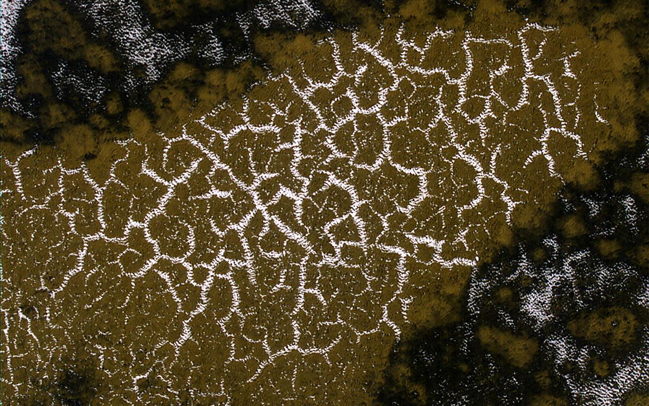 This image shows a field of sand dunes in the Martian springtime while the seasonal carbon dioxide frost is sublimating into the air. This sublimation process is not at all uniform, instead creating a pattern of dark spots. In addition, the inter-dune areas are also striking, with bright frost persisting in the troughs of polygons. Our enhanced-color cutout is centered on a brownish-colored inter-dune area. https://photojournal.jpl.nasa.gov/catalog/PIA26330