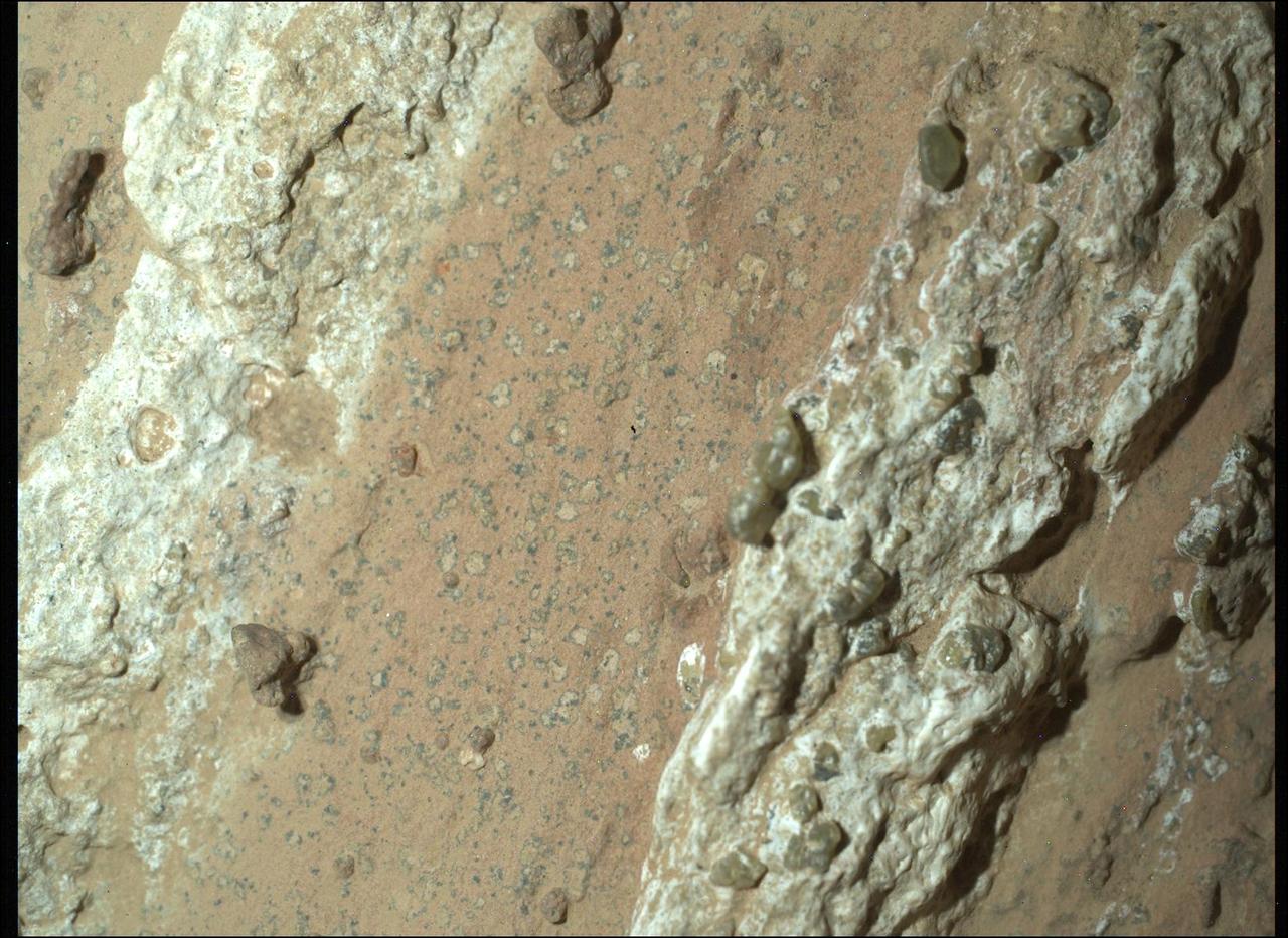 NASA's Perseverance Mars rover captured this image of a rock nicknamed "Cheyava Falls" on July 18, 2024, the 1,212th Martian day, or sol, of the mission. Running the length of the rock are large white calcium sulfate veins. Between those veins are bands of material whose reddish color suggests the presence of hematite, one of the minerals that gives Mars its distinctive rusty hue. Scientists are particularly interested in the millimeter-size, irregularly shaped light patches on the central reddish band (from lower left to upper right of the image) that are surrounded by a thin ring of dark material, akin to leopard spots. Spotting of this type on sedimentary terrestrial rocks can occur when chemical reactions involving hematite turn the rock from red to white. Those reactions can also release iron and phosphate, possibly causing the black halos to form, and they can be an energy source for microbes, hence the association between such features and microbes in a terrestrial setting. Measuring 3.2 feet by 2 feet (1 meter by 0.6 meters) and named after a Grand Canyon waterfall, Cheyava Falls was found in an ancient riverbed within the "Bright Angel" region of Mars' Jezero Crater. This image of the rock was captured using a camera called WATSON (Wide Angle Topographic Sensor for Operations and eNgineering), which is part of the SHERLOC (Scanning Habitable Environments with Raman and Luminescence for Organics and Chemicals) instrument suite located on the end of Perseverance's 7-foot-long (2-meter-long) robotic arm. SHERLOC looks for organic compounds – carbon-based molecules that are considered the building blocks of life – and detected them in Cheyava Falls. The white, knobby material seen on either side of the spots is dotted with a few green olivine crystals, which form in igneous rocks such as lava flows. It's unknown whether the olivine formed at the same time as the leopard spots; scientists hope to establish a timeline for when both the olivine and the spots formed. Perseverance drilled a core from Cheyava Falls, the rover's 22nd rock sample, on July 21. https://photojournal.jpl.nasa.gov/catalog/PIA26368