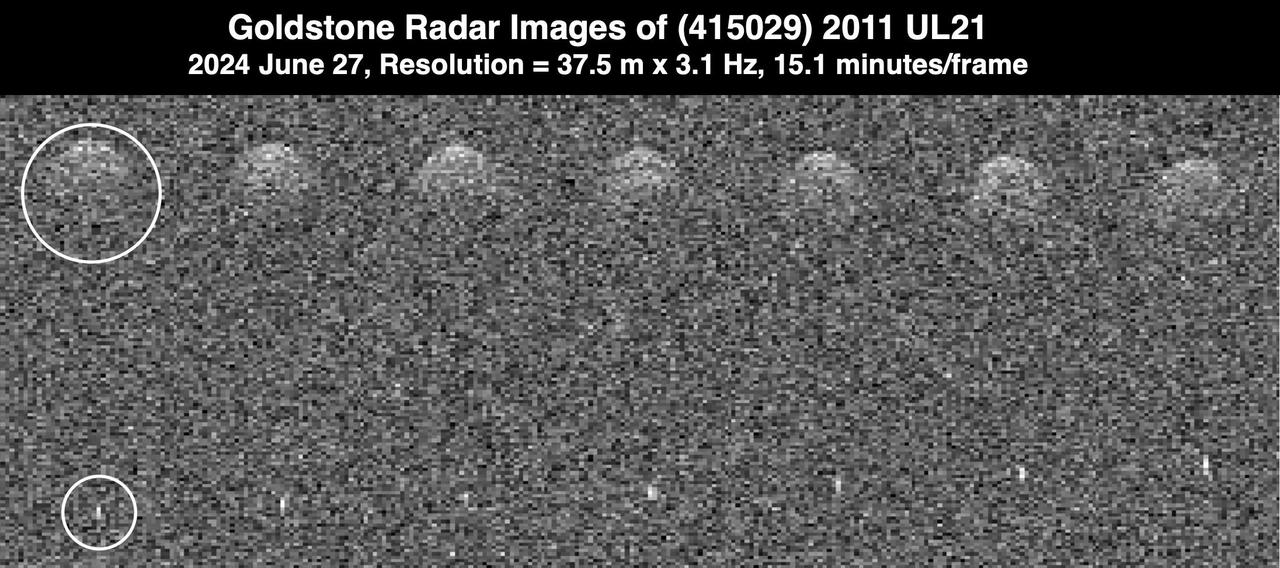 This series of seven radar observations by the Deep Space Network's Goldstone Solar System Radar shows the asteroid 2011 UL21 during its close approach with Earth from 4.1 million miles (6.6 million kilometers) away – about 17 times the distance between the Moon and Earth. White circles highlight the main asteroid and its small moon (a bright dot at the bottom of the image). Passing Earth on June 27, 2024, the asteroid was discovered in 2011 by the NASA-funded Catalina Sky Survey, in Tucson, Arizona. This marked the first time it came close enough to Earth to be imaged by radar. While the nearly mile-wide (1.5-kilometer-wide) object is classified as being potentially hazardous, calculations of its future orbits show that it won't pose a threat to our planet for the foreseeable future. In addition to determining the asteroid is roughly spherical, scientists at NASA's Jet Propulsion Laboratory discovered that it's a binary system: A smaller asteroid, or moonlet, orbits it from a distance of about 1.9 miles (3 kilometers). https://photojournal.jpl.nasa.gov/catalog/PIA26384