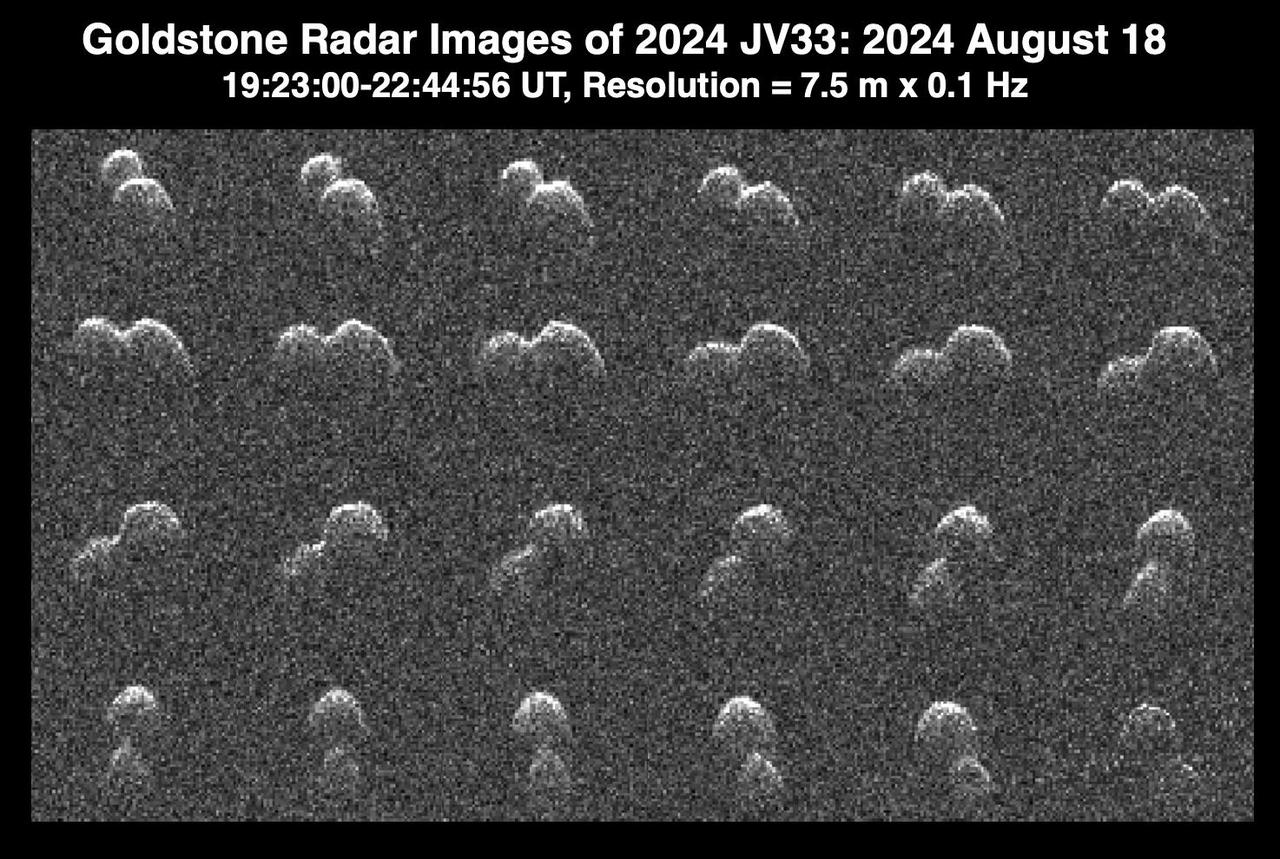 This series of radar images obtained by the Goldstone Solar System Radar near Barstow, California, on Aug. 18, 2024, shows the asteroid 2024 JV33 shortly before its close approach with Earth. The images were captured when the asteroid was at a distance of 2.8 million miles (4.6 million kilometers), about 12 times the distance between the Moon and Earth. Discovered by the NASA-funded Catalina Sky Survey in Tucson, Arizona, on May 4, the near-Earth asteroid's shape resembles that of a peanut – with two rounded lobes, one lobe larger than the other. Scientists used the radar images to determine that it is about 980 feet (300 meters) long and that its length is about double its width. Asteroid 2024 JV33 rotates once every seven hours. Radar is the principal technique for discovering such asteroids, which are called contact binaries. Dozens of them have been imaged by Goldstone, which is part of NASA's Deep Space Network. At least 14% of near-Earth asteroids larger than about 660 feet (200 meters) have a contact binary shape. Asteroid 2024 JV33 has an elongated orbit similar to that of many comets that are strongly influenced by the gravity of Jupiter. While no comet-like activity has been observed, the possibility remains that the asteroid may be an inactive cometary nucleus. The asteroid is classified as potentially hazardous, but it does not pose a hazard to Earth for the foreseeable future. These Goldstone measurements have greatly reduced the uncertainties in the asteroid's distance from Earth and in its future motion for many decades. https://photojournal.jpl.nasa.gov/catalog/PIA26389