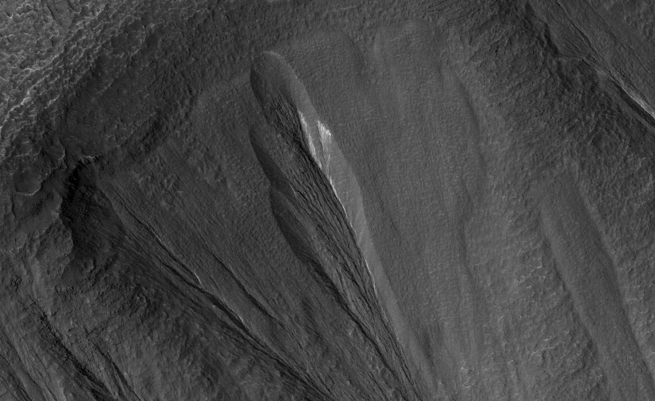 The white material seen within this gully is believed to be dusty water ice in a Martian region called Dao Vallis, captured by NASA's Mars Reconnaissance Orbiter (MRO). Scientists believe dust particles within this ice act similarly to dust that falls on to glaciers on Earth, warming up in sunlight and causing subsurface pockets of meltwater to form.  On Earth, the dust that forms these pockets are called cryoconite, and the pockets are called cryoconite holes. These Earth-based pockets of water are often teeming with simple life, including algae, fungi and cyanobacteria. Scientists believe similar shallow pools of water could exist on Mars, and may also be excellent places to search for life on the Red Planet today.  This black-and-white image was captured by MRO using its HiRISE (High-Resolution Imaging Science Experiment) camera on May 10, 2009.  https://photojournal.jpl.nasa.gov/catalog/PIA26408