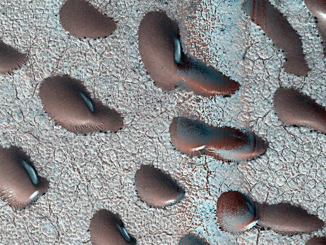 NASA image: MRO's HiRISE Views Frosty Martian Dunes