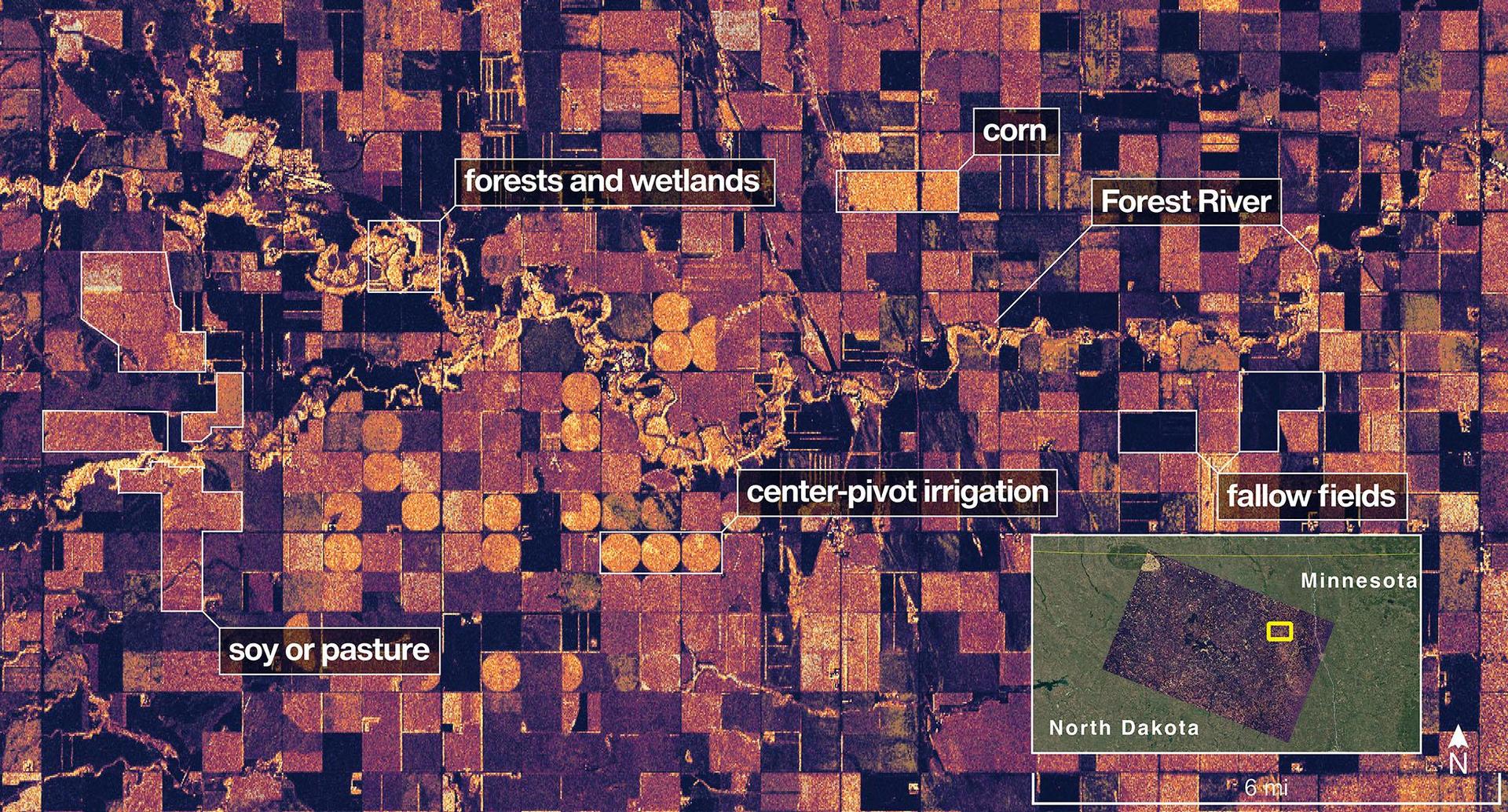 On Aug. 23, 2025, NISAR imaged land adjacent to northeastern North Dakota's Forest River.