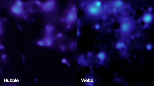 NASA image: Dark Matter Revealed in Webb, Hubble Observations