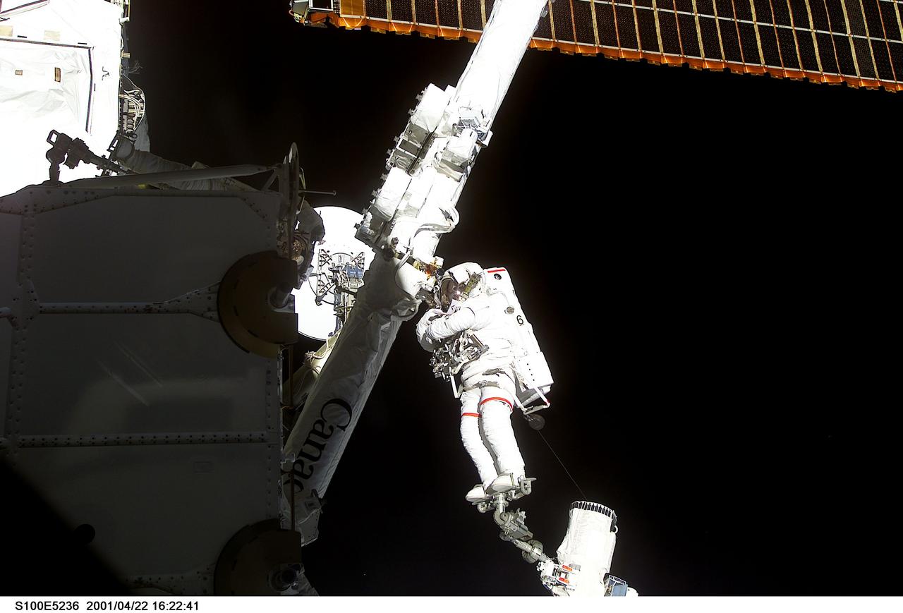 S100-E-5236 (22 April 2001) --- Astronaut Chris A. Hadfield, STS-100 mission specialist representing the Canadian Space Agency (CSA), stands on one Canadian-built robot arm to work with another one.  Called Canadarm2, the newest addition to the International  Space Station (ISS) was ferried up to the orbital outpost by the STS-100 crew.  Hadfield's feet are secured on a special foot restraint attached to the end of the Remote Manipulator System (RMS) arm, which represents one of the standard shuttle components for the majority of the 100-plus STS missions thus far.  The picture was recorded with a digital still camera.