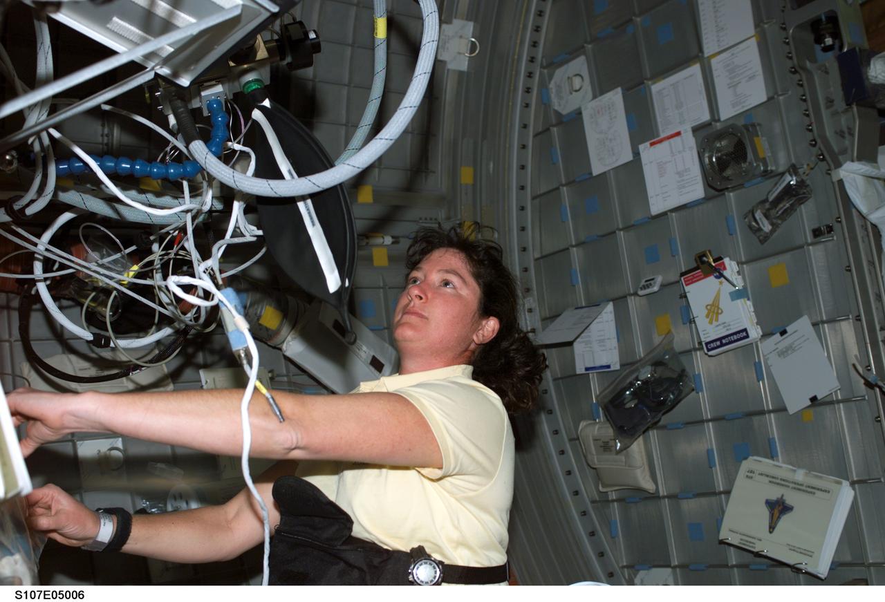 STS107-E-05006 (17 January 2003) --- Astronaut Laurel B. Clark, STS-107 mission specialist, works in the SPACEHAB Research Double Module in the cargo bay of the Earth-orbiting Space Shuttle Columbia.