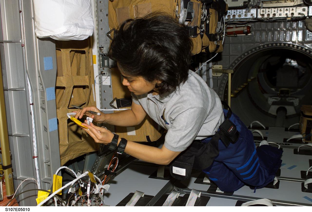 STS107-E-05010 (17 January 2003) --- Astronaut Kalpana Chawla, STS-107 mission specialist, works in the SPACEHAB Research Double Module aboard the Space Shuttle Columbia.