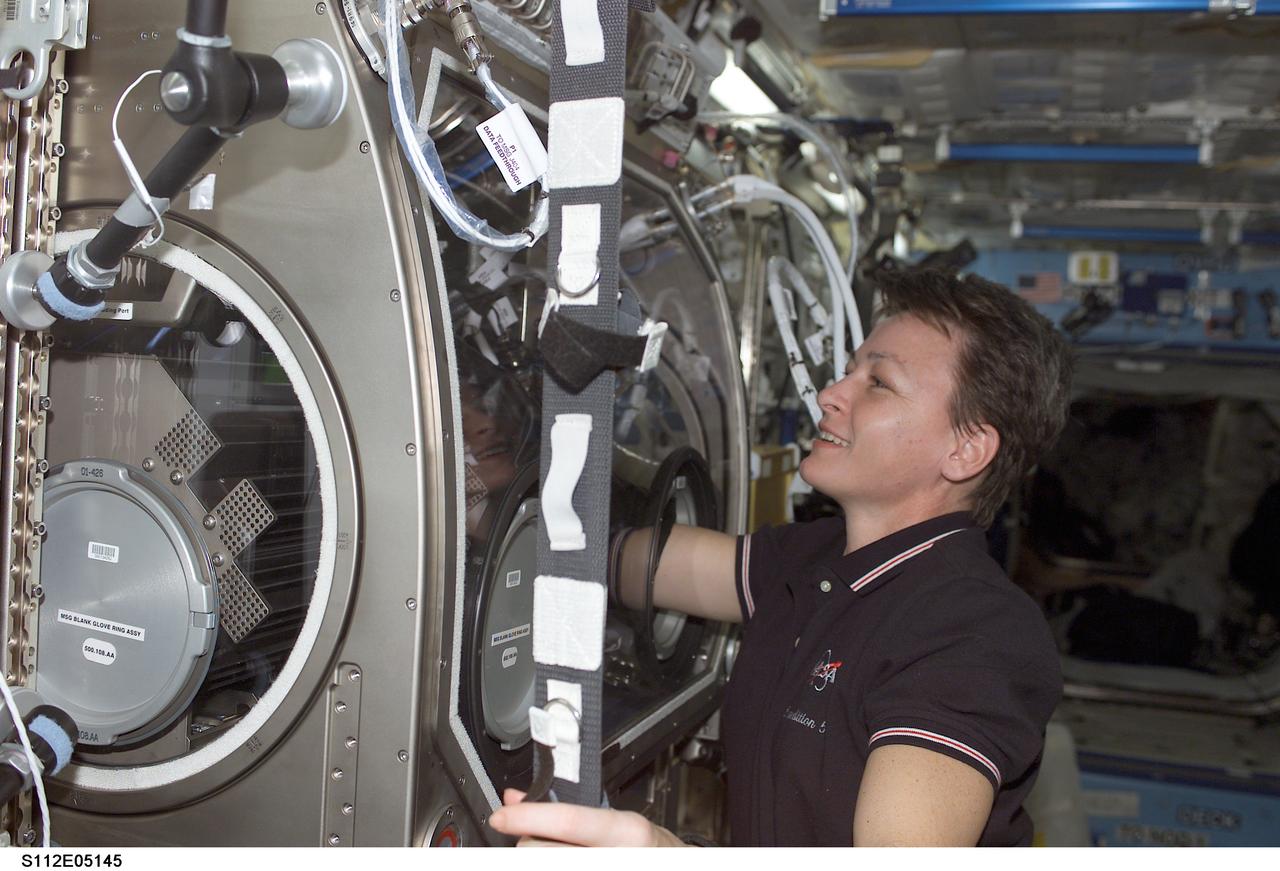 STS112-E-05145 (11 October 2002) --- Astronaut Peggy A. Whitson, Expedition Five flight engineer, works with the Microgravity Science Glovebox (MSG) in the Destiny laboratory on the International Space Station (ISS).