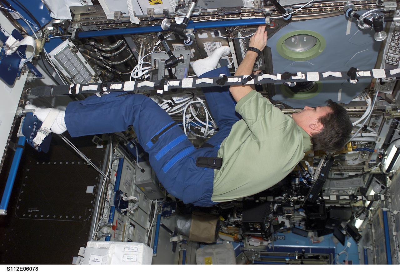 STS112-E-06078 (15 October 2002) --- Astronaut Peggy A. Whitson, Expedition Five flight engineer, works with the Microgravity Science Glovebox (MSG) in the Destiny laboratory on the International Space Station (ISS).