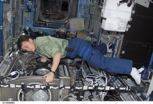 NASA image: Foot restraints for the MSG