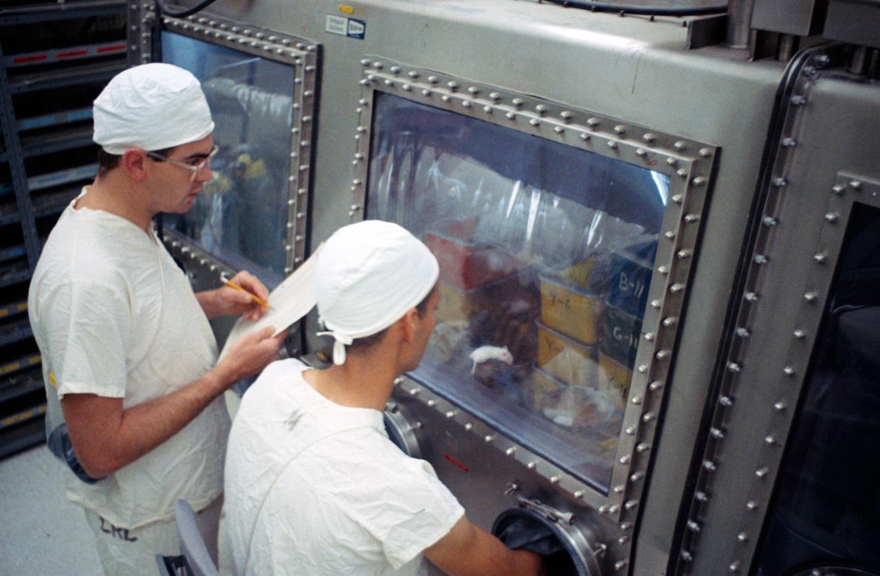 S69-40940 (August 1969) --- Landrum Young (seated), Brown and Root - Northrop, and Russell Stullken, Manned Spacecraft Center (MSC), examine mice in the Animal Laboratory which have been inoculated with lunar sample material. The sample material was collected by astronauts Neil A. Armstrong and Edwin E. Aldrin Jr. during their lunar surface extravehicular activity (EVA) on July 20, 1969.