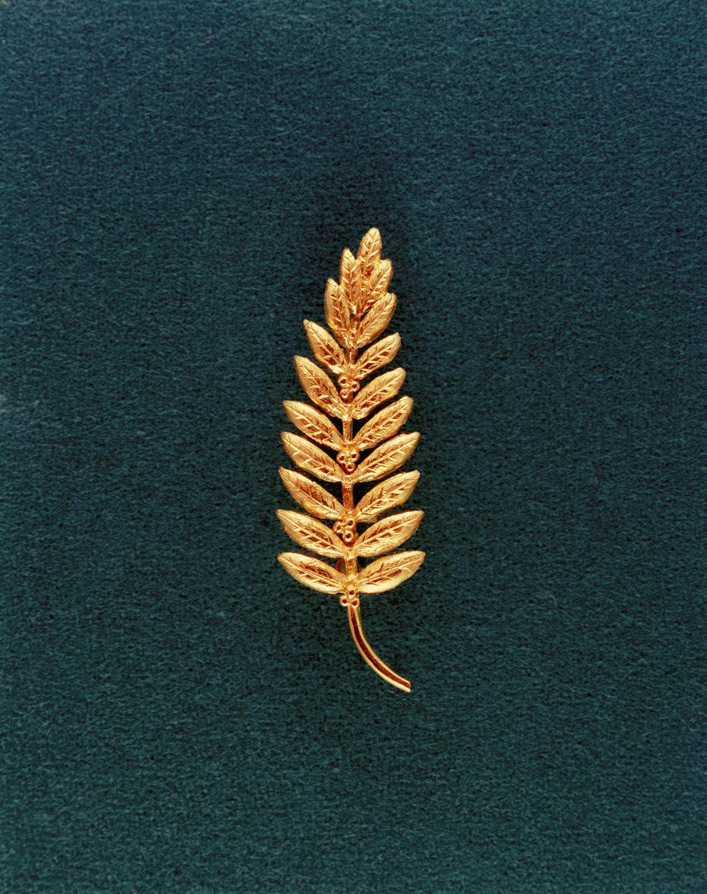 S69-40941 (July 1969) --- This picture is of the gold replica of an olive branch, the traditional symbol of peace, which was left on the moon's surface by Apollo 11 crewmembers.  Astronaut Neil A. Armstrong, commander, was in charge of placing the small replica (less than half a foot in length) on the moon. The gesture represents a fresh wish for peace for all mankind.