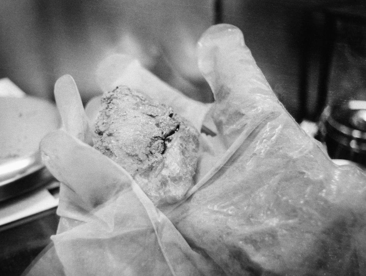 S69-60354 (29 Nov. 1969) --- A scientist's gloved hand holds one of the numerous rock samples brought back to Earth from the Apollo 12 lunar landing mission. The rocks are under thorough examination in the Manned Spacecraft Center's (MSC) Lunar Receiving Laboratory (LRL). This sample is a highly shattered basaltic rock with a thin black-glass coating on five of its six sides. Glass fills fractures and cements the rock together. The rock appears to have been shattered and thrown out by a meteorite impact explosion and coated with molten rock material before the rock fell to the surface.