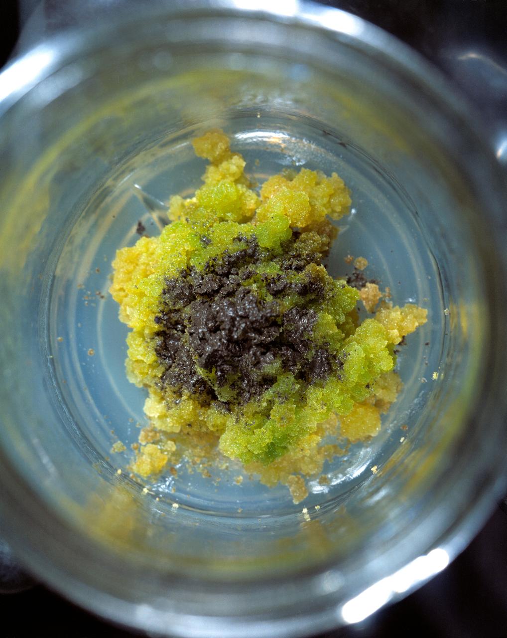 S71-51315 (1 Oct. 1971) --- A close-up view of soybean tissue culture growing in a synthetic medium and Apollo 15 lunar material. Note the greening occurring in areas in contact with the soil particles.