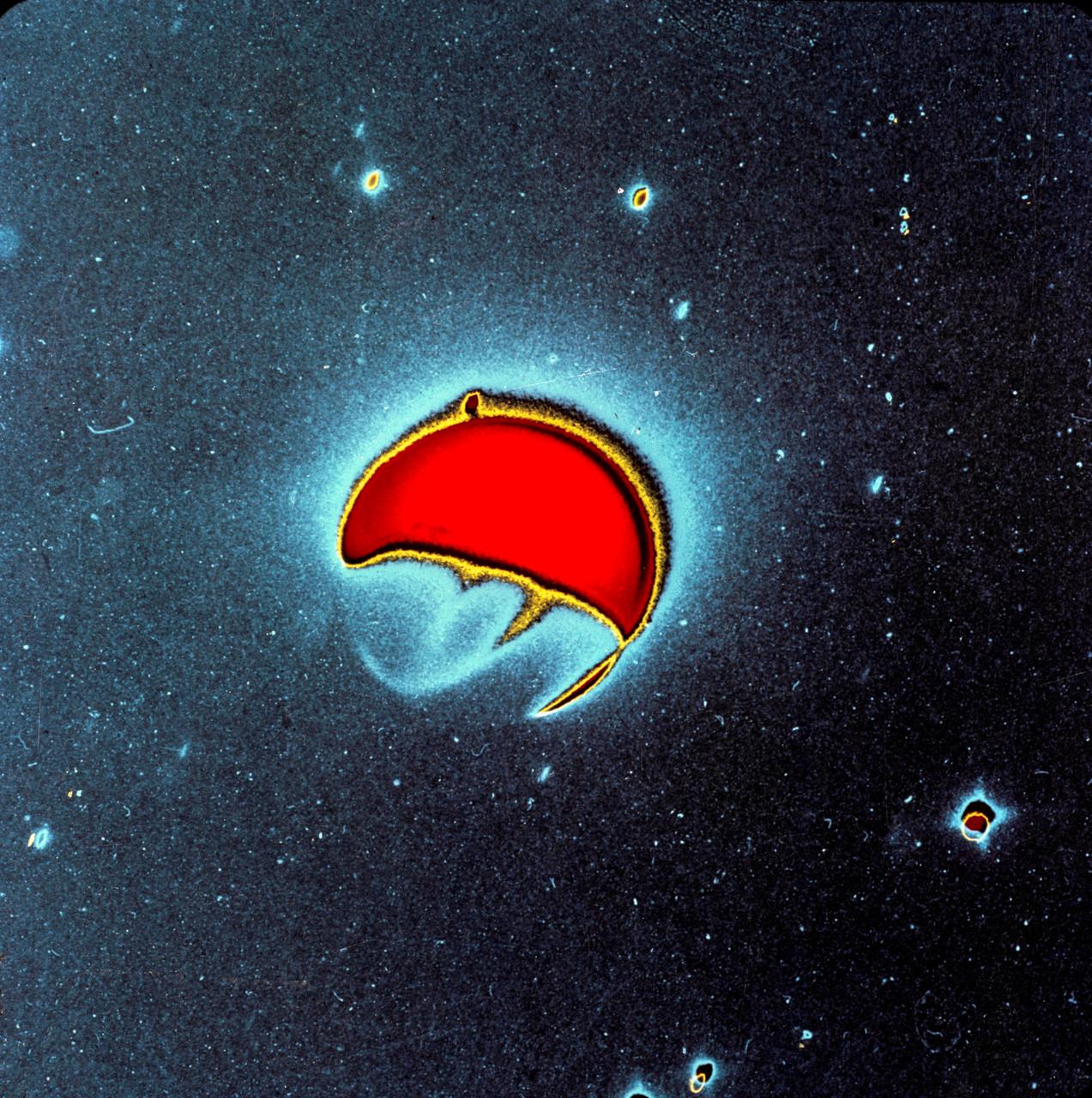 S72-36972 (21 April 1972) --- A color enhancement of a far-ultraviolet photo of Earth taken by astronaut John W. Young, commander, with the ultraviolet camera on April 21, 1972. The original black and white photo was printed on Agfacontour film three times, each exposure recording only one light level. The three light levels were then colored blue (dimmest), green (next brightest), and red (brightest). The three auroral belts, the sunlit atmosphere and the background stars (one very close to Earth, on left) can be studied quantitatively fro brightness. The UV camera was designed and built at the Naval Research Laboratory, Washington, D.C. EDITOR'S NOTE: The photographic number of the original black & white UV camera photograph from which this enhancement was made is AS16-123-19657.