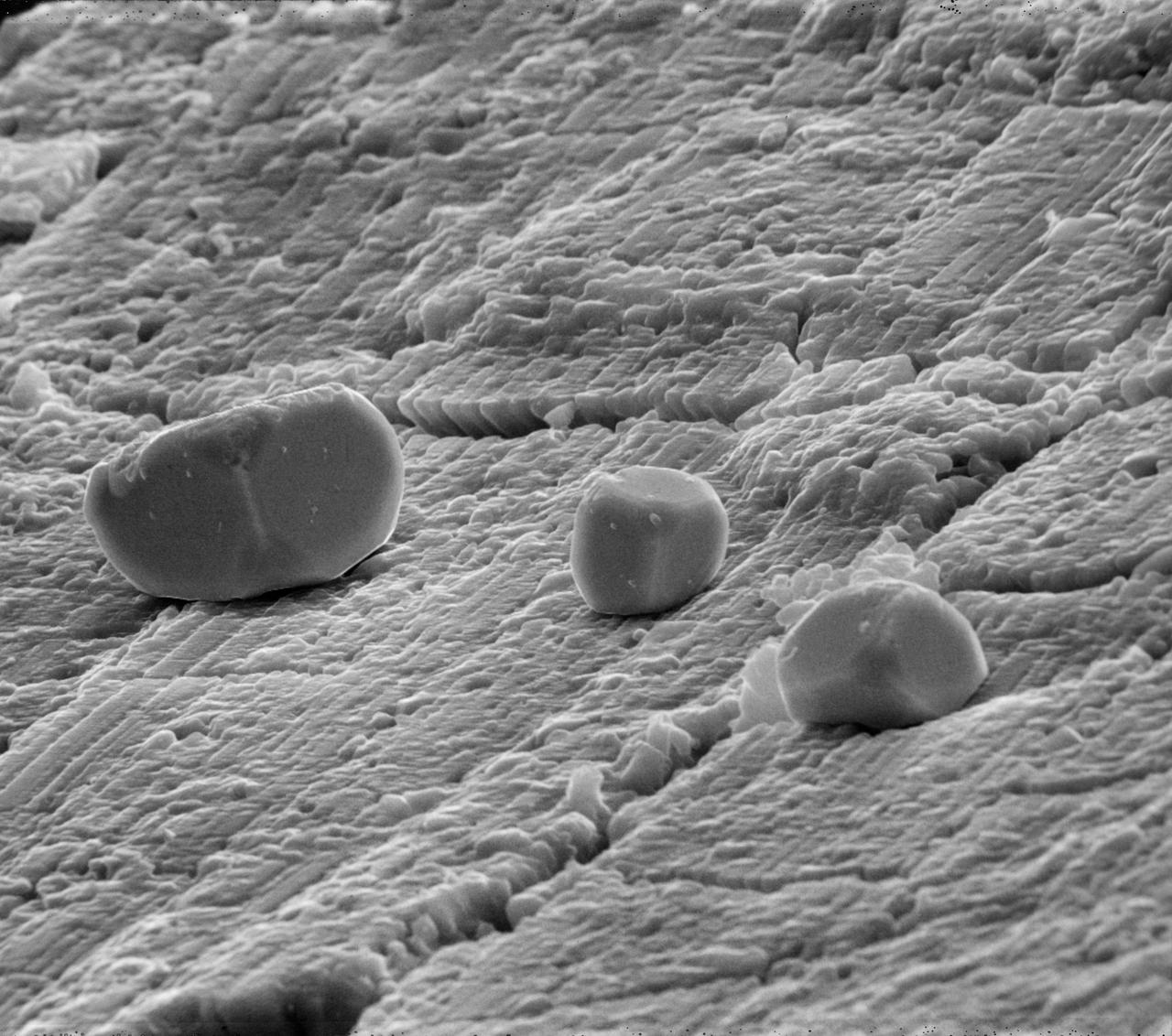 PHOTOMICROPHOTOGRAPHY -GEOLOGY   (SEM)                                                                                                                                    High magnification and resolution views of lunar, meteorite and terrestrial materials using the Scanning Electron MIcroscope (SEM), Bldg. 31 Planetary and Earth Science Laboratory.