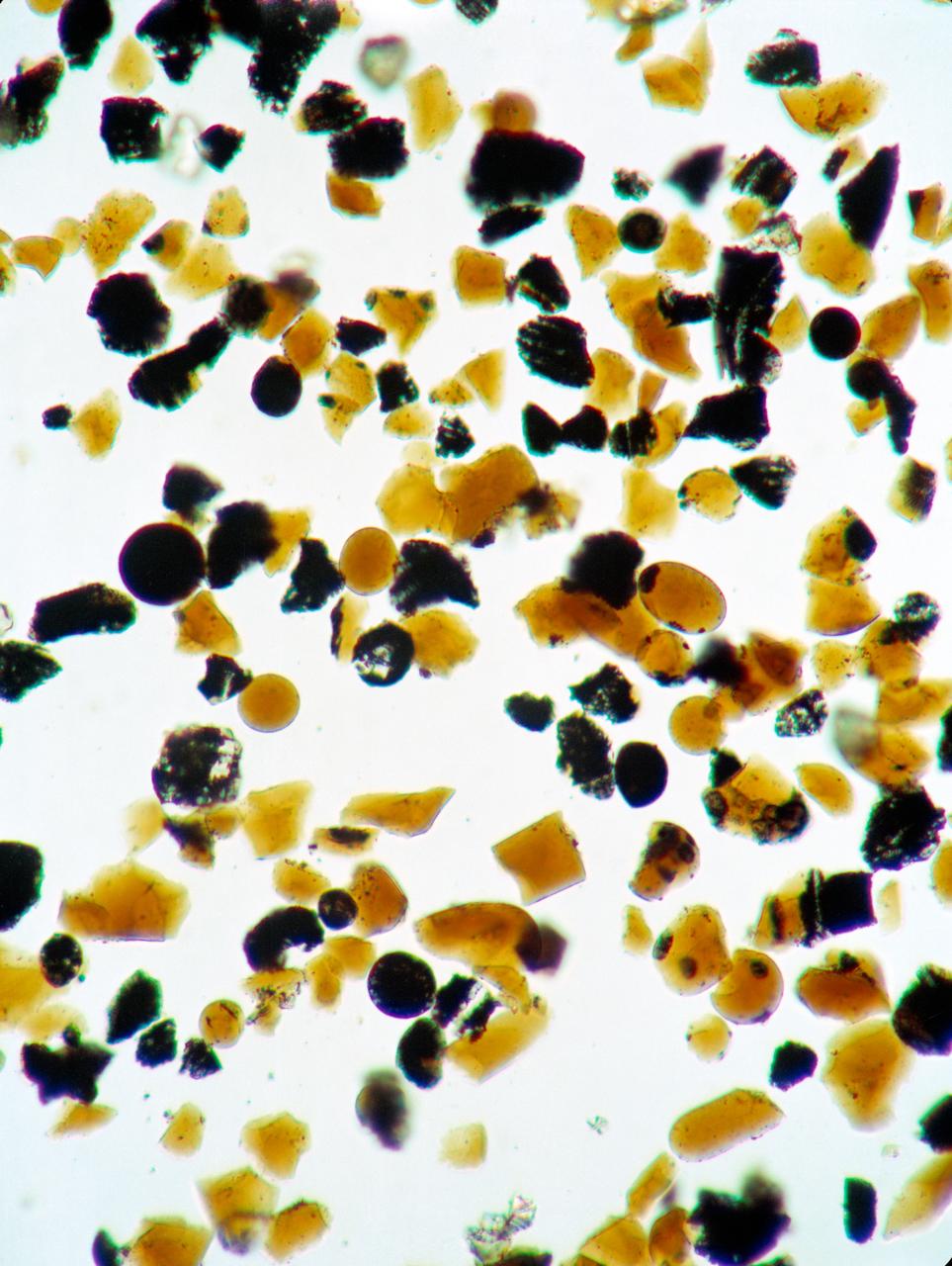 S73-15171 (4 Jan. 1973) --- These orange glass spheres and fragments are the finest particles ever brought back from the moon. Ranging in size from 20 to 45 microns (about 1/1000 of an inch) the particles are magnified 160 times in this photomicrograph made in the Lunar Receiving Laboratory at the Manned Spacecraft Center. The orange soil was brought back from the Taurus-Littrow landing site by the Apollo 17 crewmen. Scientist-astronaut Harrison H. "Jack" Schmitt discovered the orange soil at Shorty Crater during the second Apollo 17 extravehicular activity (EVA). This lunar material is being studied and analyzed by scientists in the LRL. The orange particles in this photomicrograph, which are intermixed with black and black-speckled grains, are about the same size as the particles that compose silt on Earth. Chemical analysis of the orange soil material has shown the sample to be similar to some of the samples brought back from the Apollo 11 (Sea of Tranquility) site several hundred miles to the southwest. Like those samples, it is rich in titanium (8%) and iron oxide (22%). But unlike the Apollo 11 samples, the orange soil is unexplainably rich in zinc ? an anomaly that has scientists in a quandary. This Apollo 17 sample is not high in volatile elements, nor do the minerals contain substantial amounts of water. These would have provided strong evidence of volcanic activity. On the other hand, the lack of agglutinates (rocks made up of a variety of minerals cemented together) indicates that the orange glass is probably not the product of meteorite impact -- strengthening the argument that the glass was produced by volcanic activity.