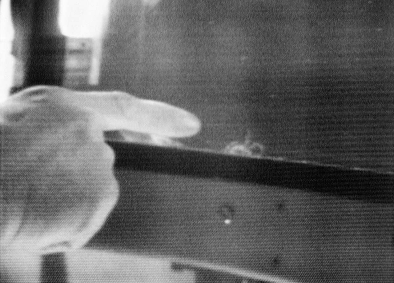 S73-33164 (27 Aug. 1973) --- A close-up view of Anita, one of the two common cross spiders “Araneus diadematus” aboard Skylab, is seen in this photographic reproduction of a color television transmission made by a TV camera aboard the Skylab space station in Earth orbit. A finger of one of the Skylab 3 crewmen points to Anita. The two spiders are housed in an enclosure onto which a motion picture and still camera are attached to record the spider’s attempt to build a web in the zero-gravity of space. The spider experiment (ED52) is one of 25 experiments selected by NASA for Skylab from more than 3,400 experiment proposals submitted by high school students throughout the nation. ED52 was submitted by 17-year old Judith S. Miles of Lexington, Mass. Photo credit: NASA