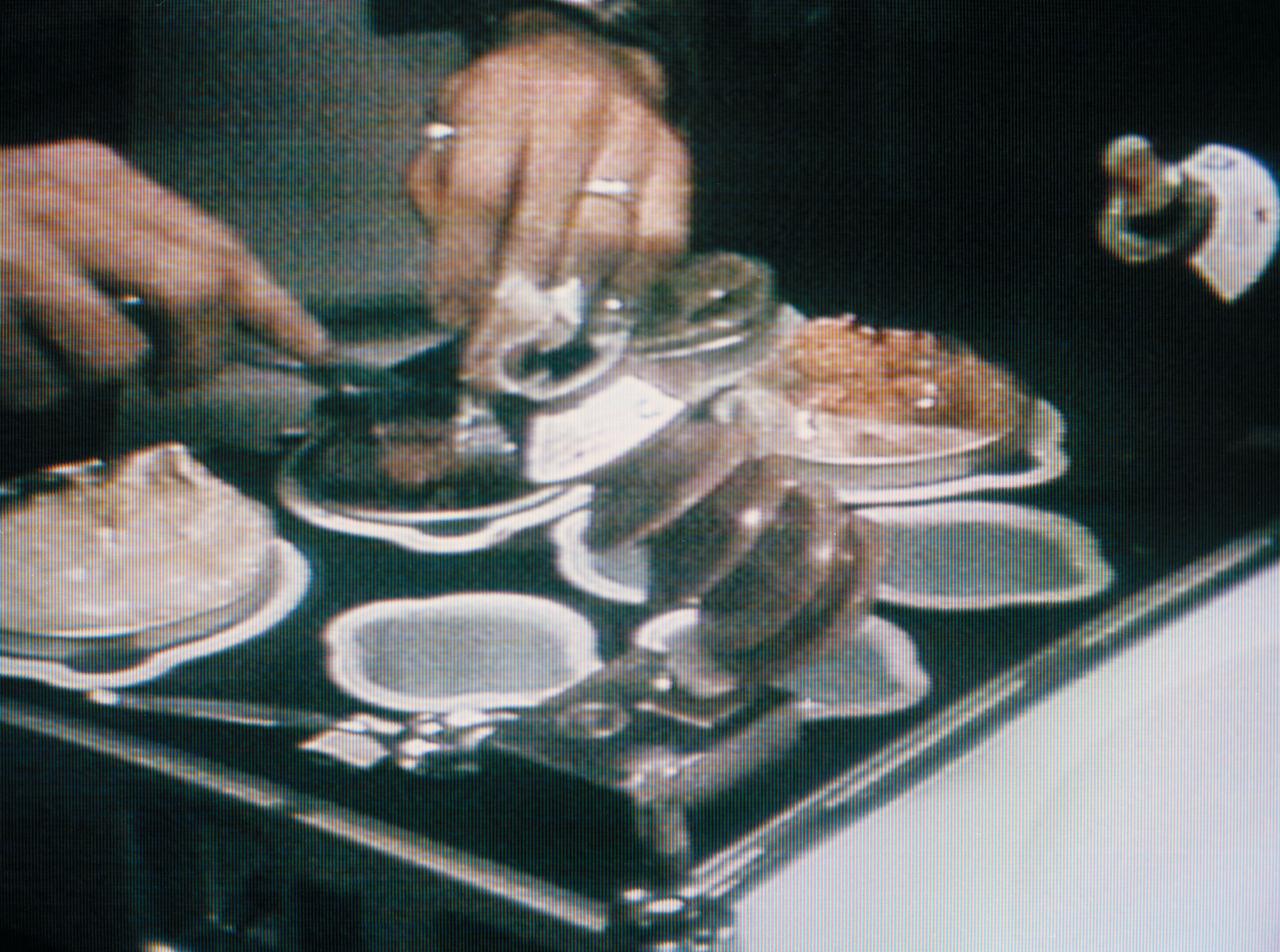 S73-34198 (1 Aug. 1973) --- A close-up view of the hands of astronaut Jack R. Lousma, Skylab 3 pilot, using a silverware utensil to gather food at the food station, in this photographic reproduction taken from a television transmission made by a color TV camera aboard the Skylab space station in Earth orbit. Astronaut Alan L. Bean, commander, had just zoomed the TV camera in for this close-up of the food tray following a series of wide shots of Lousma at the food station. Photo credit: NASA