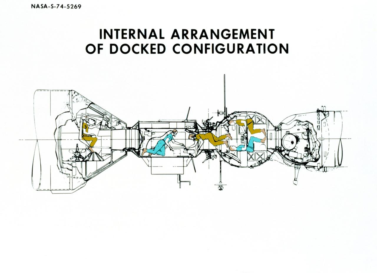 S74-05269 (December 1974) --- An artist?s drawing illustrating the internal arrangement of the Apollo and Soyuz spacecraft in Earth orbit in a docked configuration.  The three American Apollo crewmen and the two Soviet Soyuz crewmen will transfer to each other?s spacecraft during the July 1975 ASTP mission.  The four Apollo-Soyuz Test Project visible components are, left to right, the Apollo Command Module, the Docking Module, the Soyuz Orbital Module and the Soyuz Descent Vehicle.