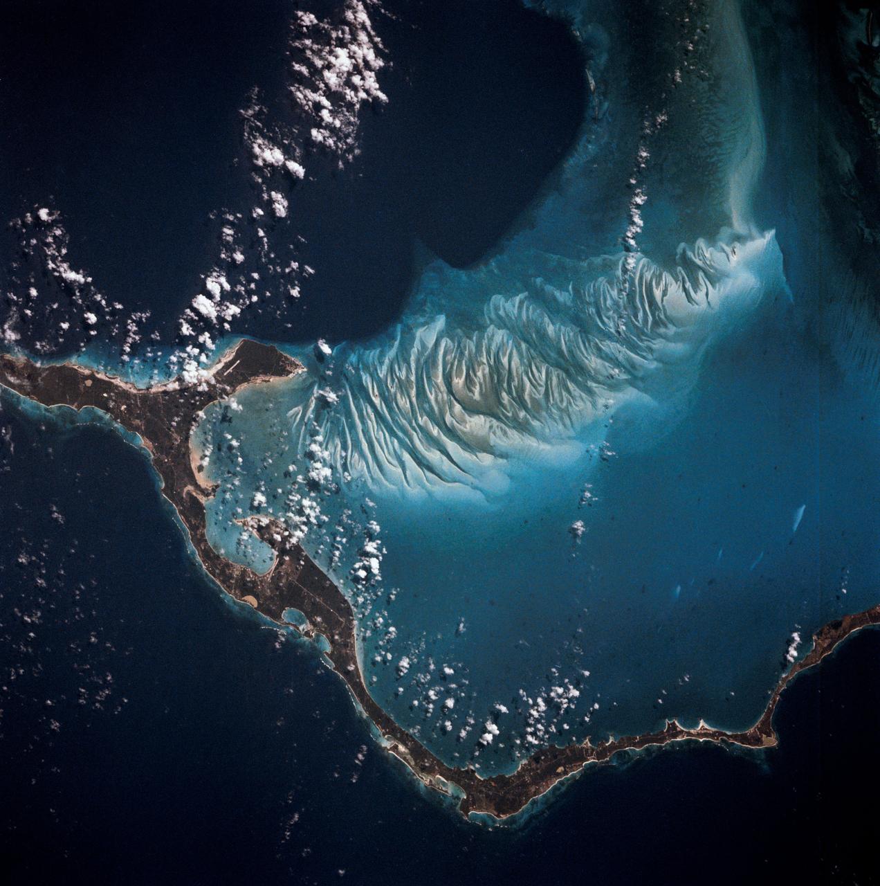 S81-30396 (12-14 April 1981) --- A vertical view of Eleuthera Island in the Bahamas and part of the great Bahama Bank, as photographed with a 70mm handheld camera from the space shuttle Columbia in Earth orbit. The light blue of the Bahama Bank contrasts sharply with the darker blue of the deep ocean waters.  Astronauts John W. Young, commander, and Robert L. Crippen, pilot, took a series of Earth photos from inside the flight deck of the Columbia, which has windows on its top side, convenient for shooting photographs as the spacecraft flew ?upside down? above Earth. The mission frame ID number is STS001-12-322. Photo credit: NASA