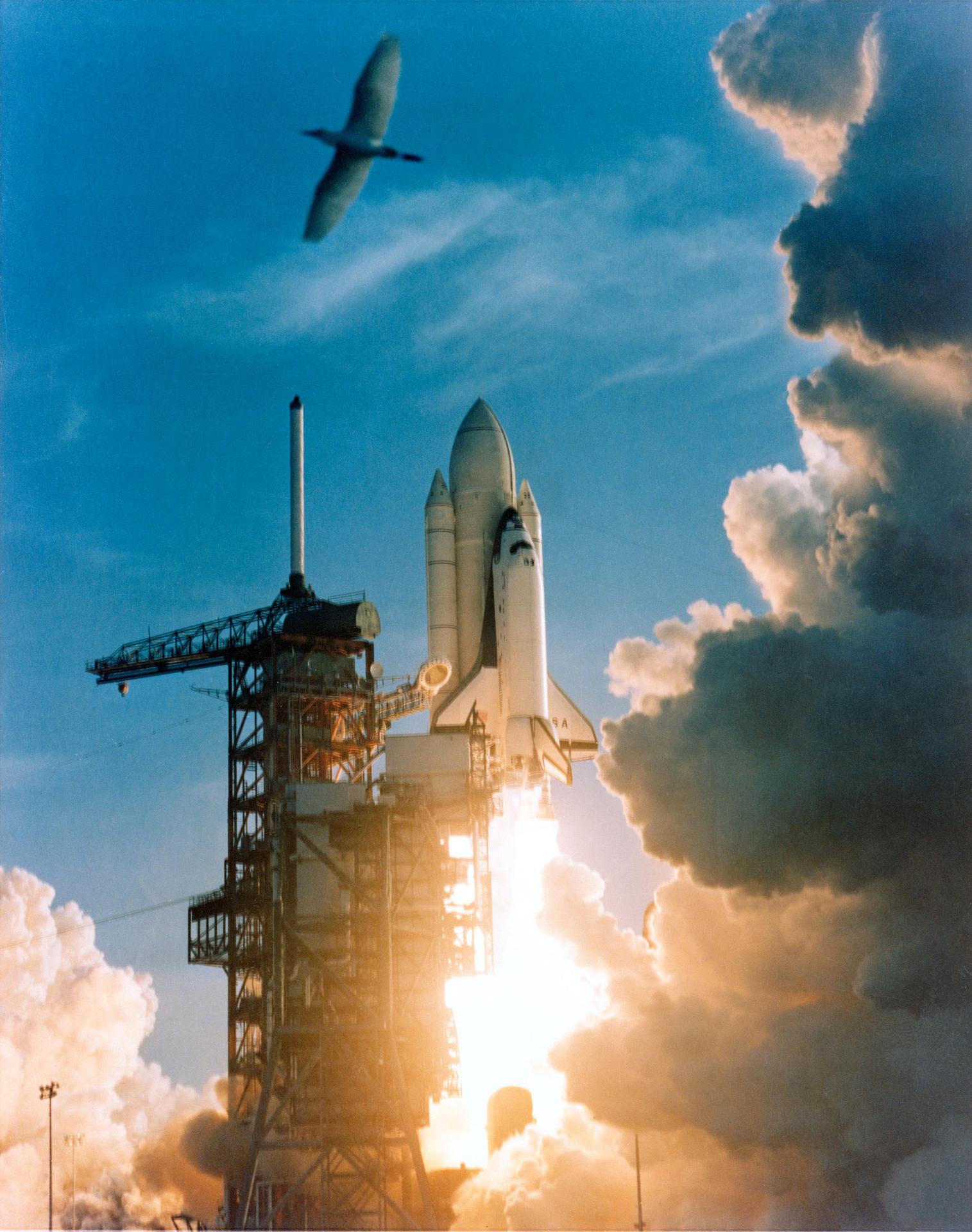 The Space Shuttle Columbia launches