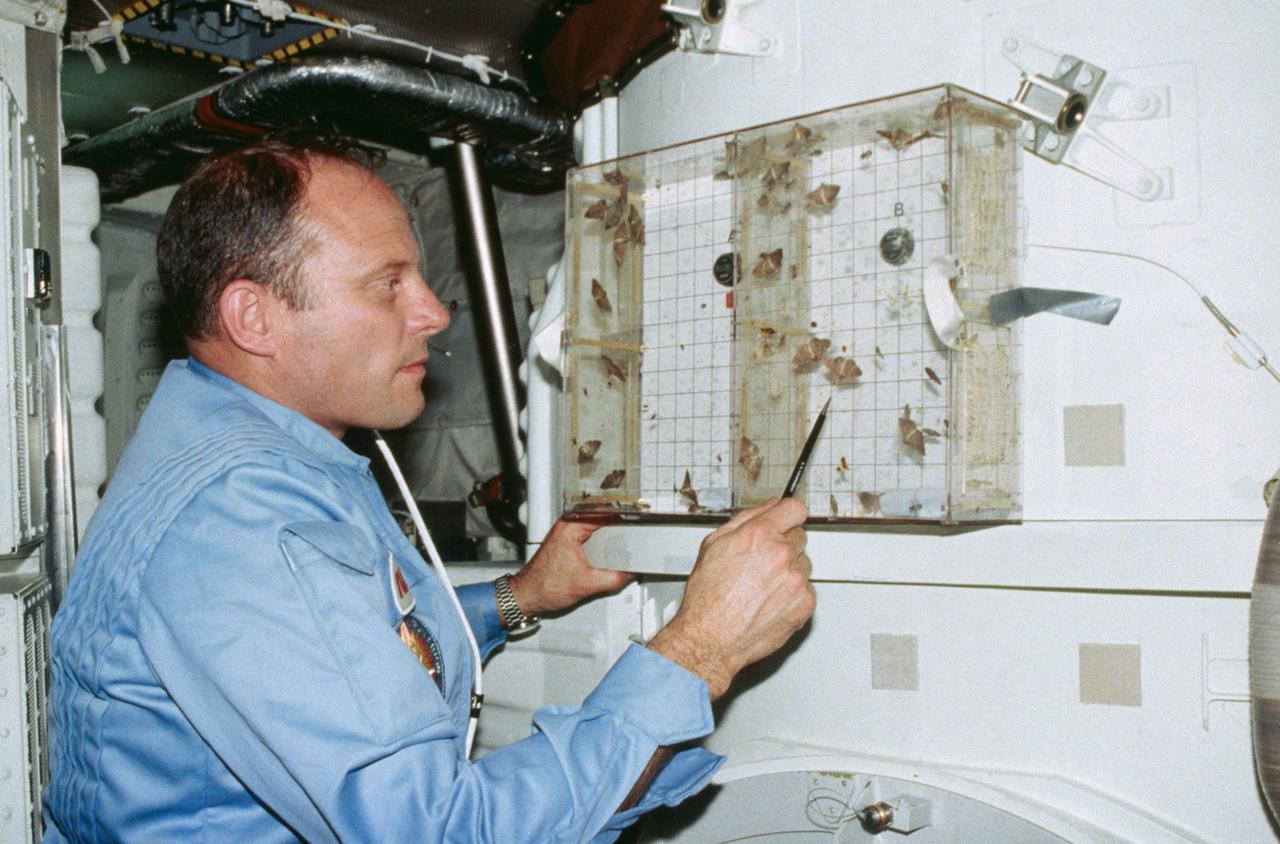 Commander Jack Lousma examines Insect Flight Motion Study (Student Experiment) taped to the airlock on the aft middeck. Lousma points to velvetbean caterpillar moth activity with a pen.