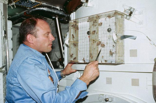 NASA image: Commander Lousma examines Insect Flight Motion Study