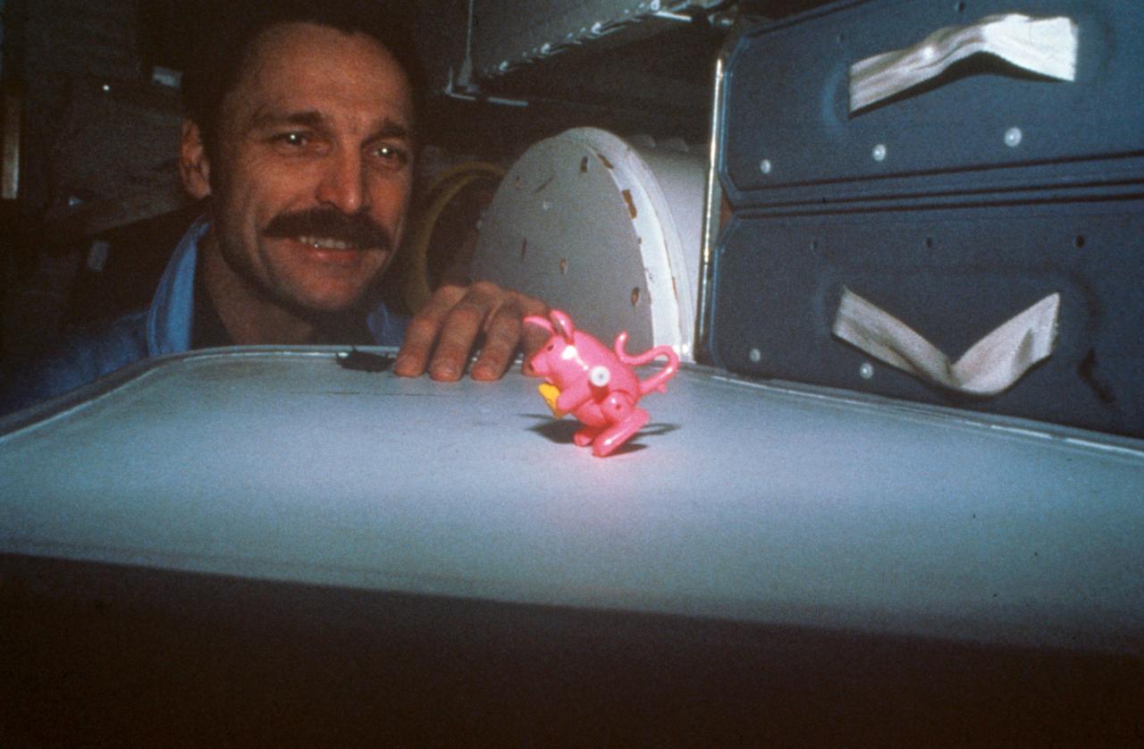 S85-26475 (1 February 1985) --- Astronaut David Griggs, 51-D mission specialist, monitors the behavior of a pink plastic flipping toy, nicknamed "Rat Stuff." The small toy is part of the "Toys in Space" project for NASA's 51-D mission.