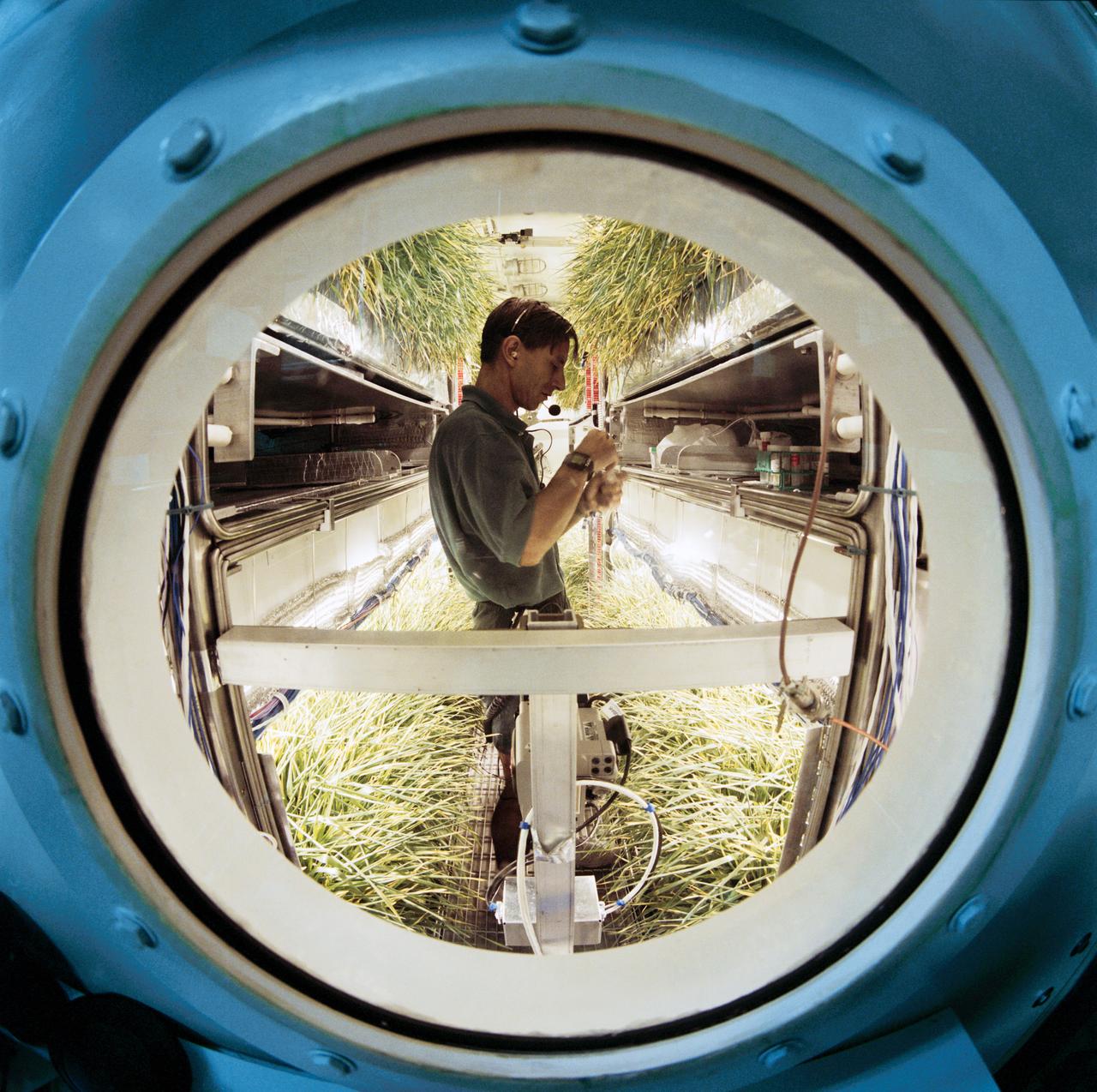 Early Human Testing (EHT) Initiative Phase 1 Regenerative Life Support Systems Laboratory (RLSSL). Nigel Packham activities in the Variable Pressure Growth Chamber which he lived inside for 15 days. A crowd of well-wishers outside the test chamber, at the console are John Lewis, Ed Mohr and Marybeth Edeen (15577). Packham exiting the chamber (15578-81). Packham is the focus of television cameras and reporters (15582-3). Don Henninger interviewed by reporters (15584). Packham is presented with a jacket after his stay in the chamber (15585). Packham inside the wheat growth chamber checking the condition of the plants (15586-7, 15597). Packham exercising on a recumbant bicycle (15588, 15592). Packham, through the window into the growth chamber, displays a handful of wheat plants to console monitor Dan Barta (15589-90). Group portrait of the team conducting the Early Human Testing Initiative Phase 1 Regenerative Life Support Systems test and include, front row, from left: Jeff Dominick and Don Overton and back row, from left, unidentified member, Marybeth Edeen, Nigel Packham, John Lewis, Ed Mohr, Dan Barta and Tim Monk (15591). Harry Halford prepares to send a package through the airlock to Packham (15593). Packham displays a handful of wheat plants (15594). Packham fixes himself a bowl of cereal (15595) and retrieves a carton of milk from the refrigerator (15596). Packham retrieves a package from the airlock (15598). Packham packs up trash in plastic bag (15599-600) and sends it back through the airlock (15601). Packham gets a cup of water (15602) and heats it in the microwave (15603).