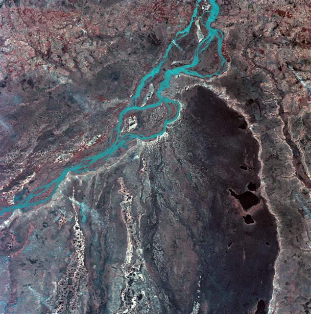 NASA image: View of Argentina-Paraguay border area of South America