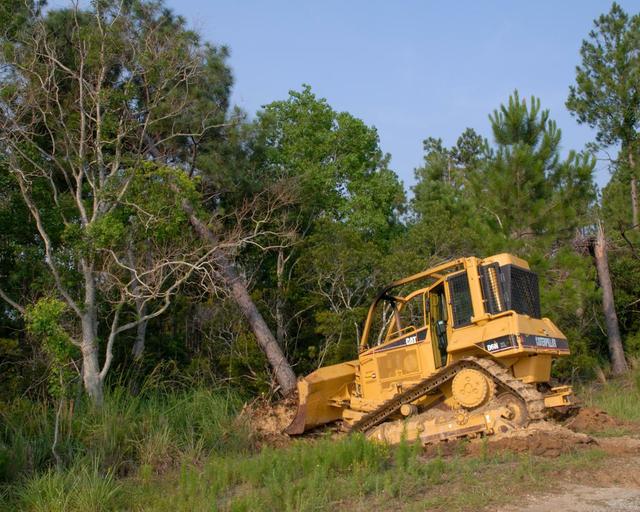 NASA image: A-3 First Tree Cutting