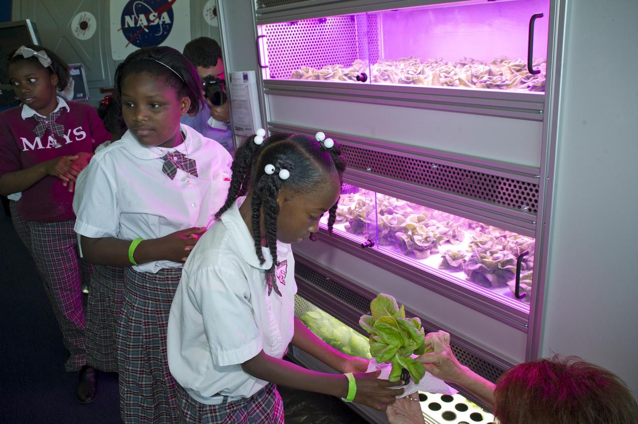 Students from Benjamin E. Mays Preparatory School in New Orleans enjoyed a hands-on experience at the INFINITY at NASA Stennis Space Center facility May 7, 2012. The Louisiana students assisted in the first harvest of lettuce from the Controlled Environment Agriculture unit, which uses an aeroponic process that involves no soil and advance LED lighting techniques.
