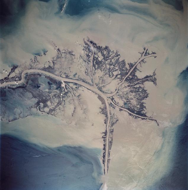 NASA image: Mississippi River Delta, Louisiana as seen from STS-62