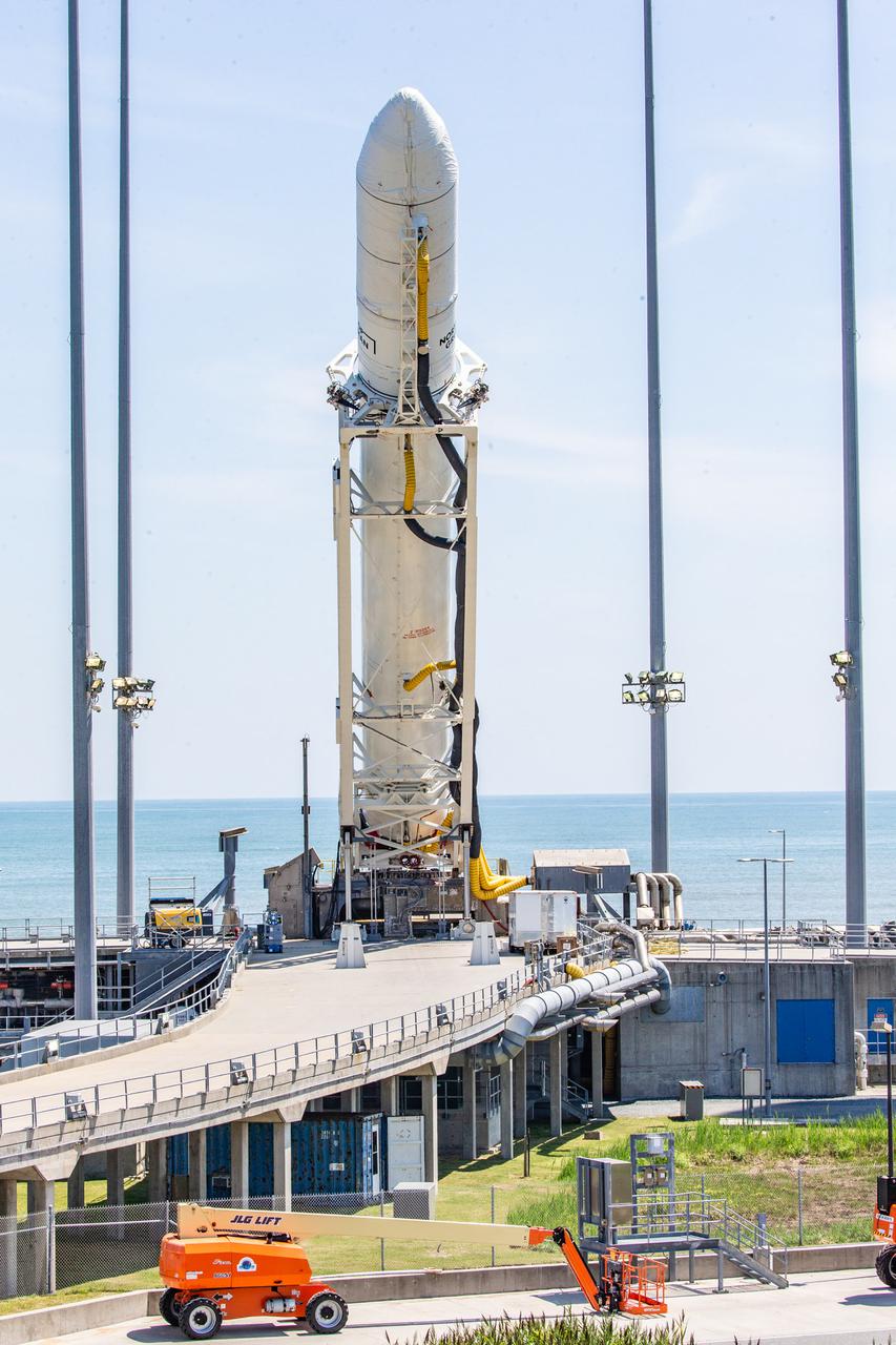 A Northrop Grumman Antares rocket carrying a Cygnus resupply spacecraft is raised into a vertical position on the Mid-Atlantic Regional Spaceport’s Pad-0A, Friday, Aug. 6, 2021, at NASA's Wallops Flight Facility in Virginia. Northrop Grumman’s 16th contracted cargo resupply mission with NASA to the International Space Station will deliver about 8,200 pounds of science and research, crew supplies and vehicle hardware to the orbital laboratory and its crew. Northrop Grumman named the NG CRS-16 Cygnus spacecraft after NASA astronaut Ellison Onizuka,  in honor of his prominence as the first Asian American astronaut. Onizuka was hired in 1978 in the first class of diverse astronauts, and his first spaceflight was aboard space shuttle Discovery in January 1985 for STS-51-C. He lost his life aboard the space shuttle Challenger in 1986. The launch is scheduled for 5:56 p.m. EDT, Aug. 10, 2021.   Photo Credit: NASA/Terry Zaperach